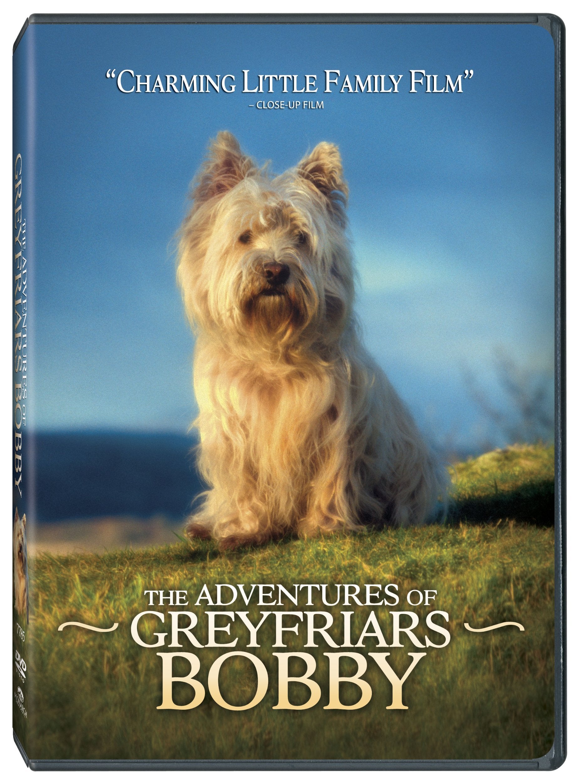 Adventures of Greyfriars Bobby used book depot