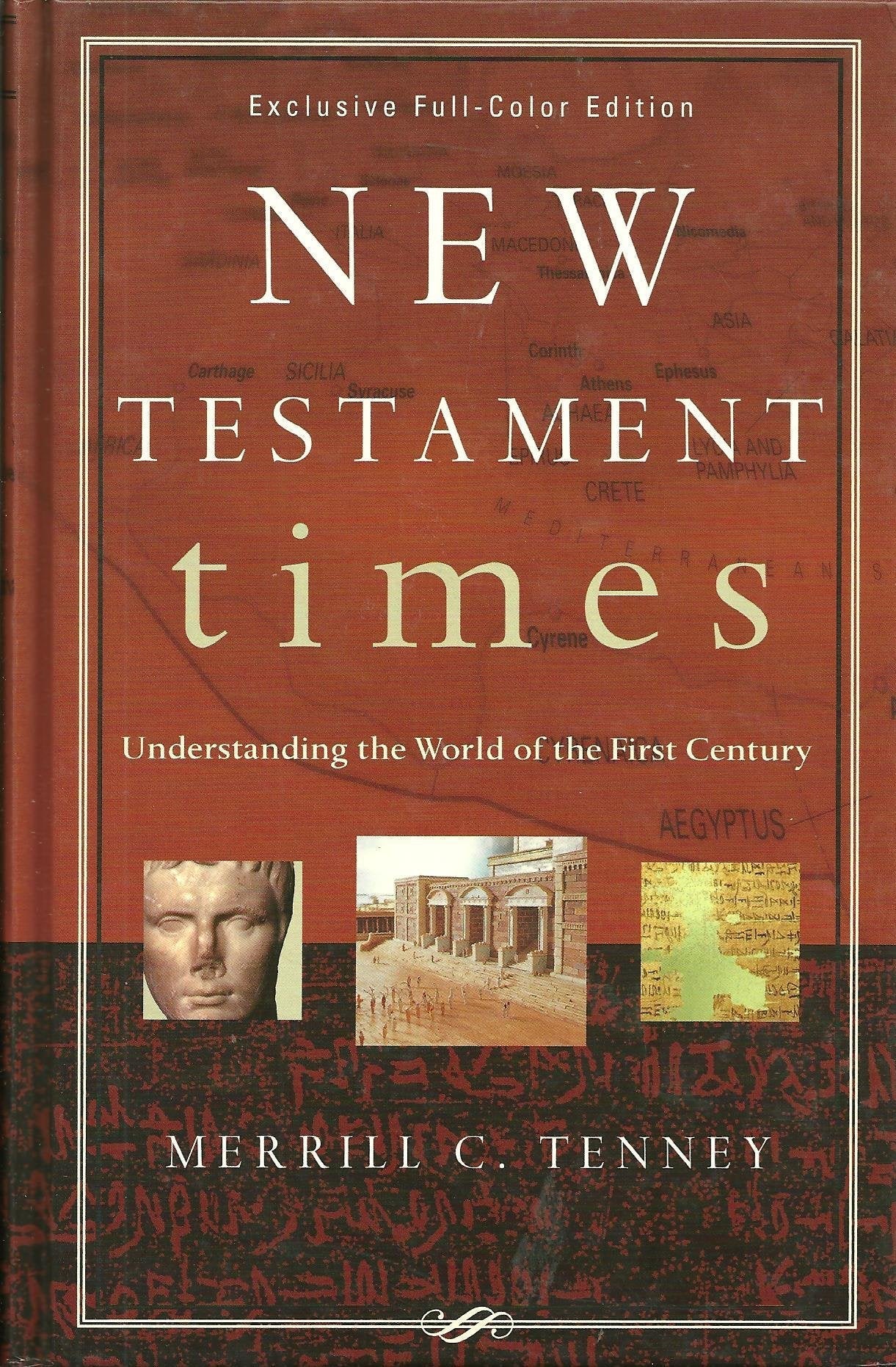 New Testament Times: Understanding the World of the First Century used book depot