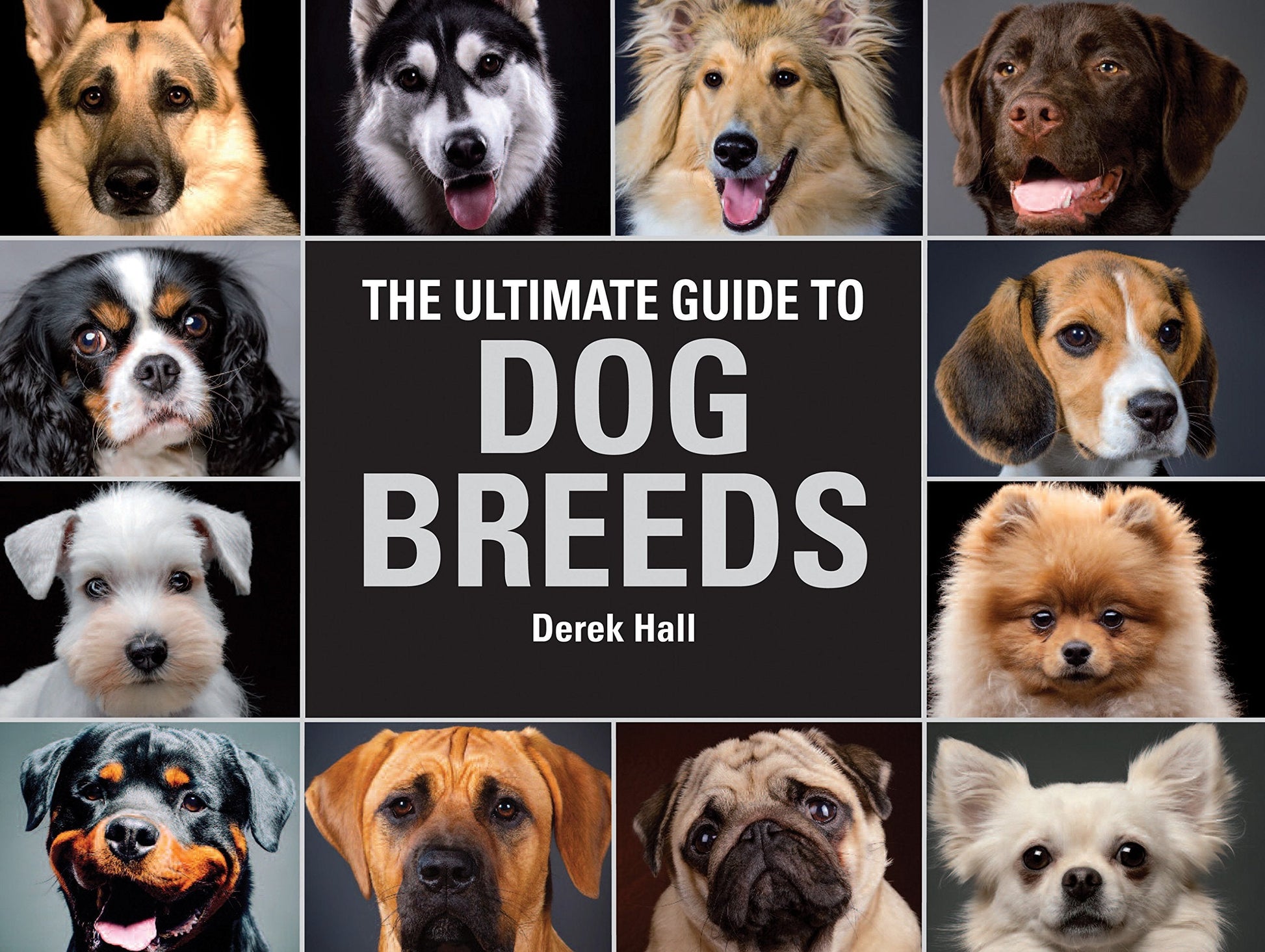 The Ultimate Guide To Dog Breeds: A useful means of identifying the dog breeds of the world and how to care for them used book depot