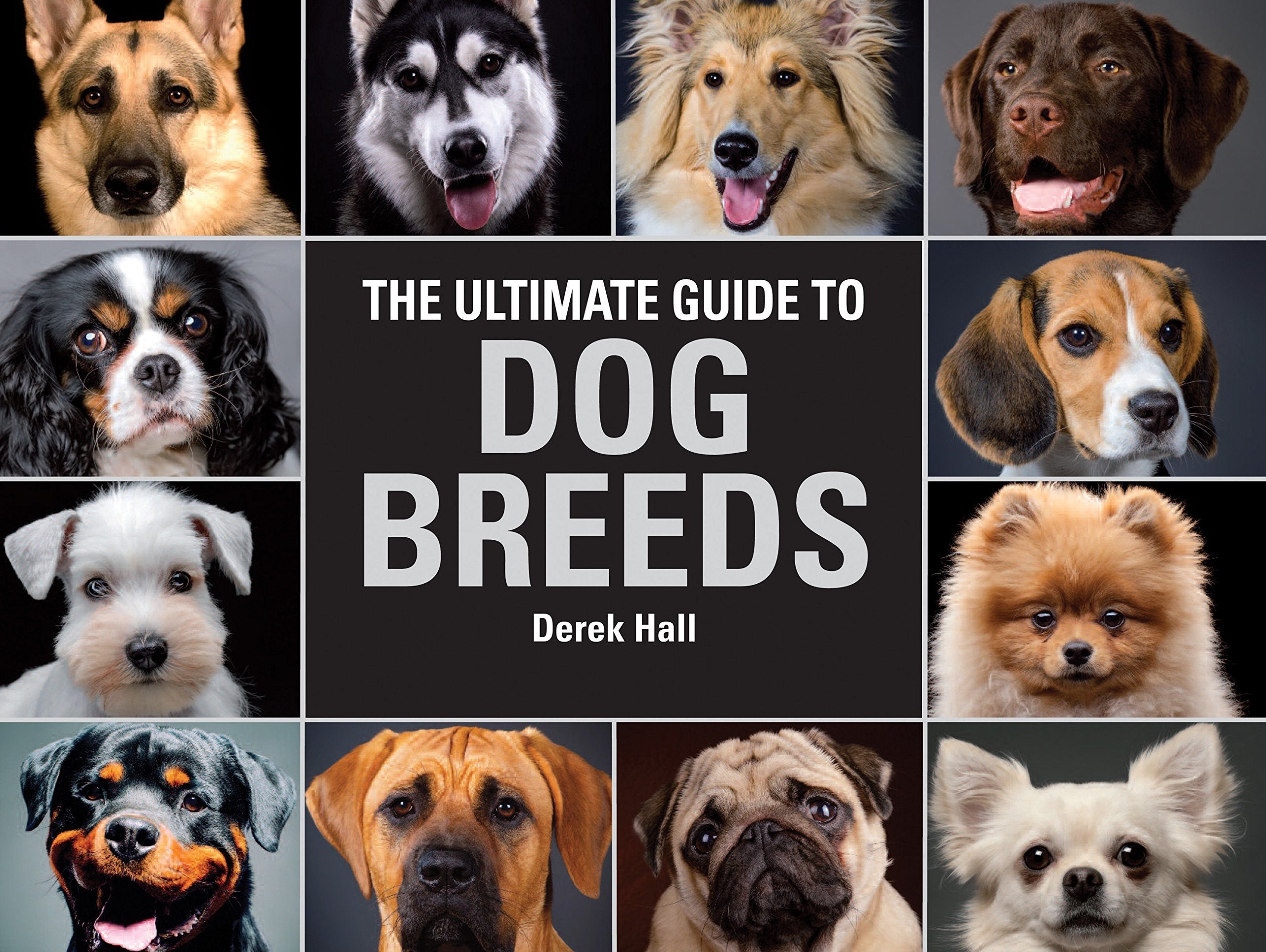 The Ultimate Guide To Dog Breeds: A useful means of identifying the dog breeds of the world and how to care for them used book depot