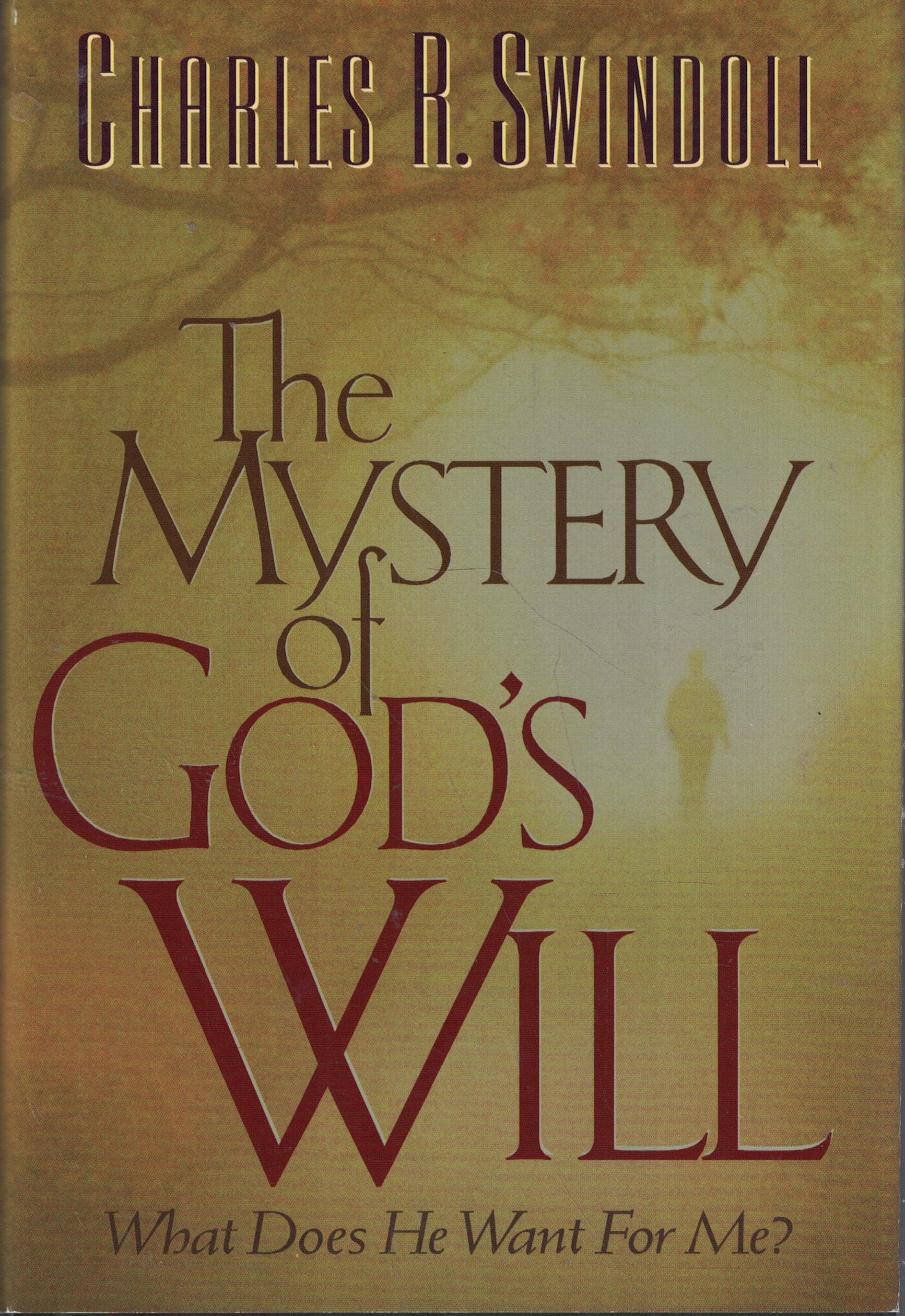The Mystery of God's Will used book depot