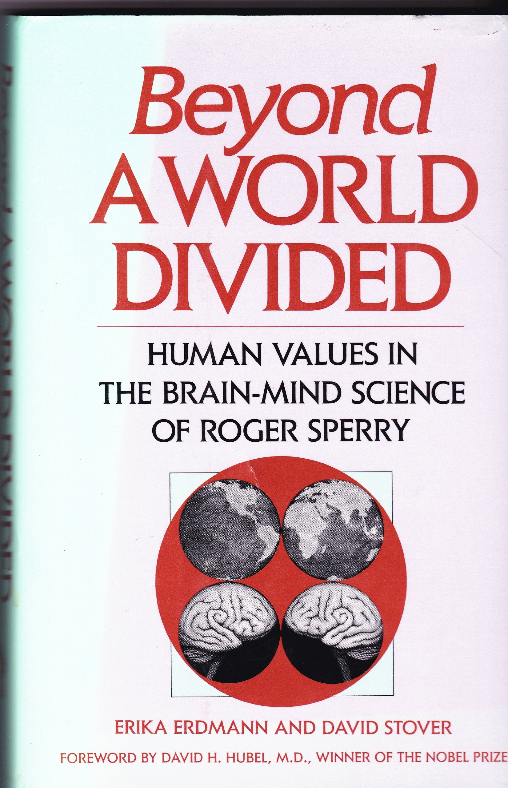 Beyond a World Divided used book depot