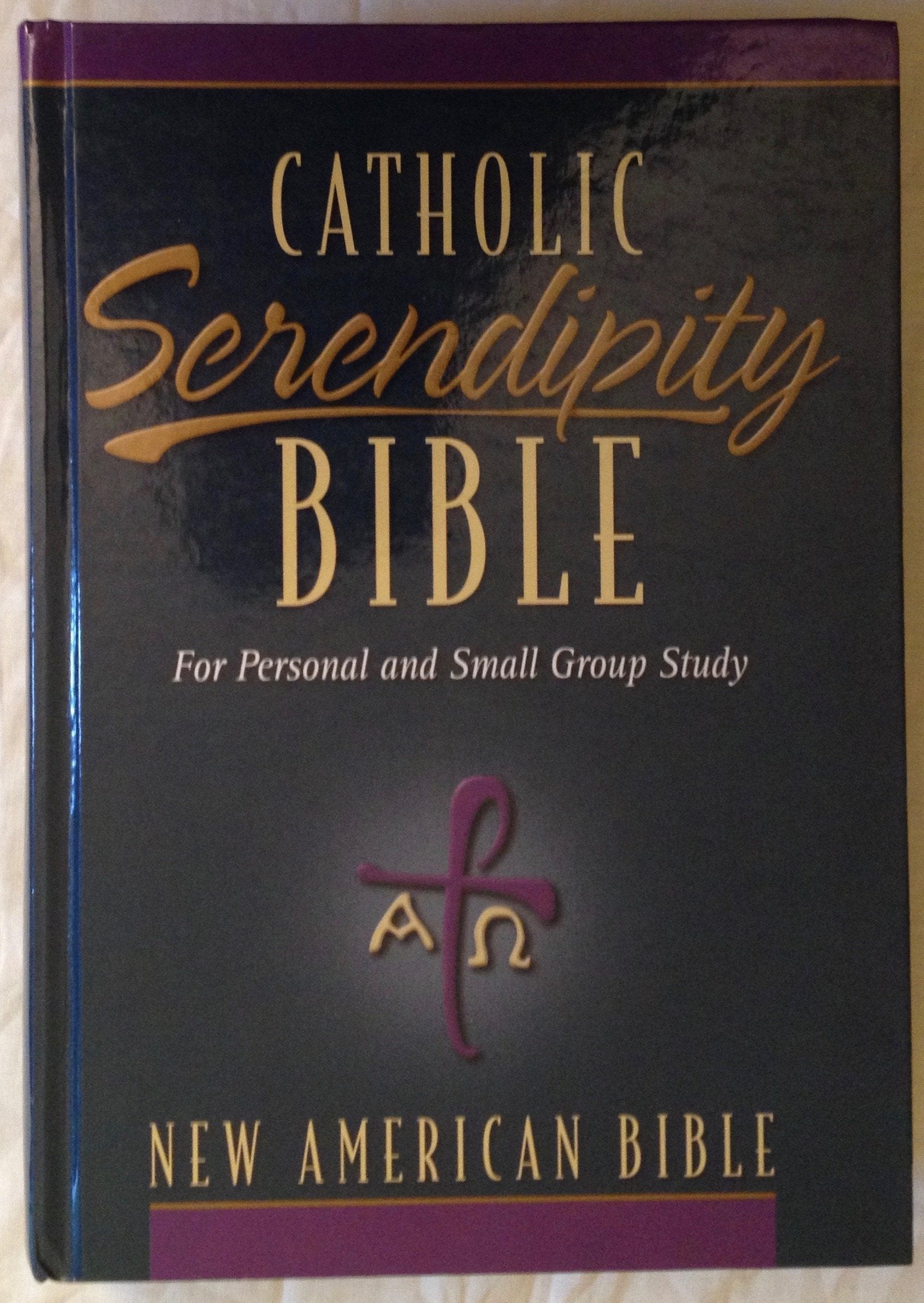 Catholic Serendiptiy Bible for Personal and Small Group Study [NAB - New American Bible] used book depot