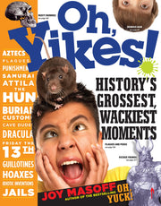 Oh, Yikes!: History's Grossest Wackiest Moments used book depot