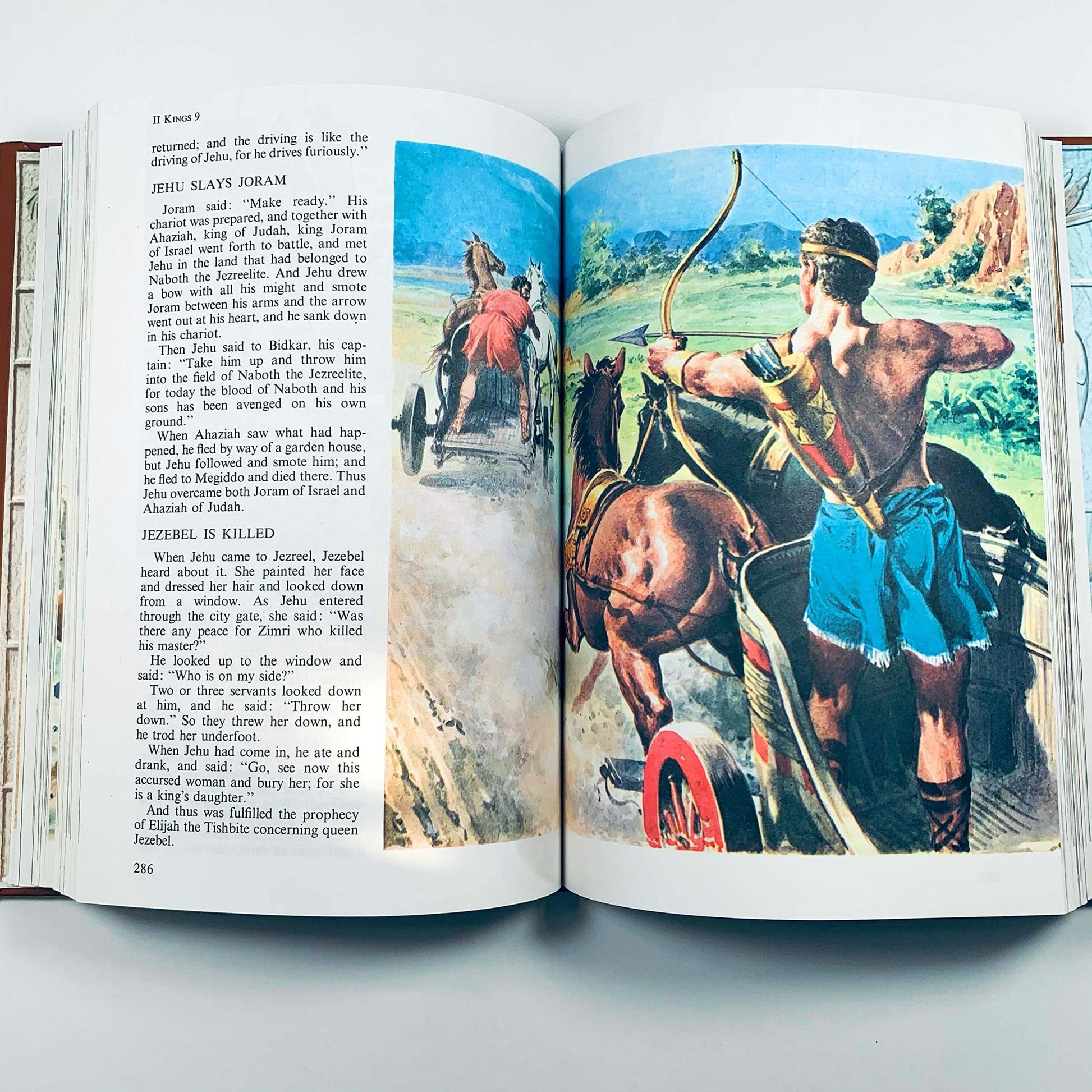 The Children's Bible Deluxe Edition used book depot