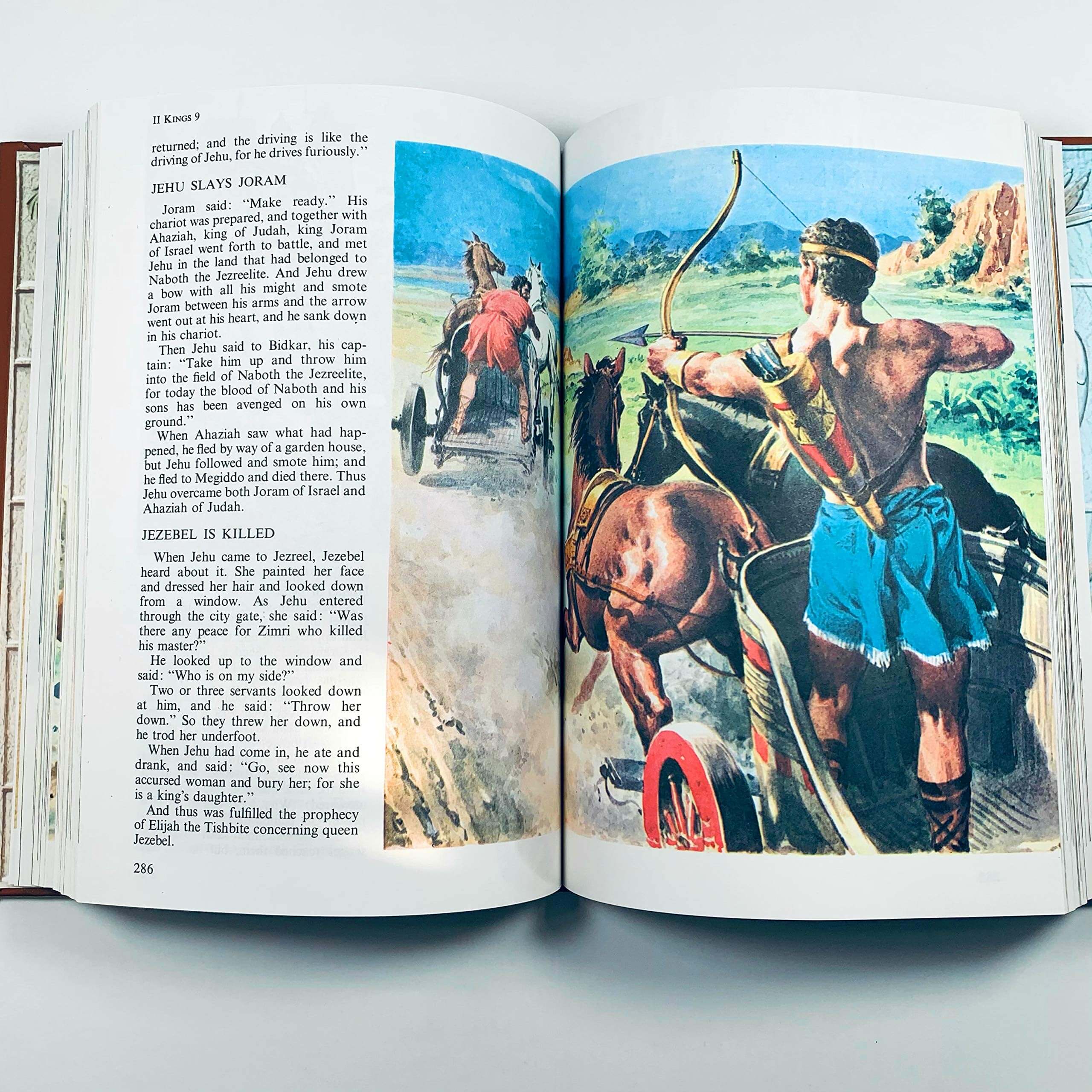 The Children's Bible Deluxe Edition used book depot