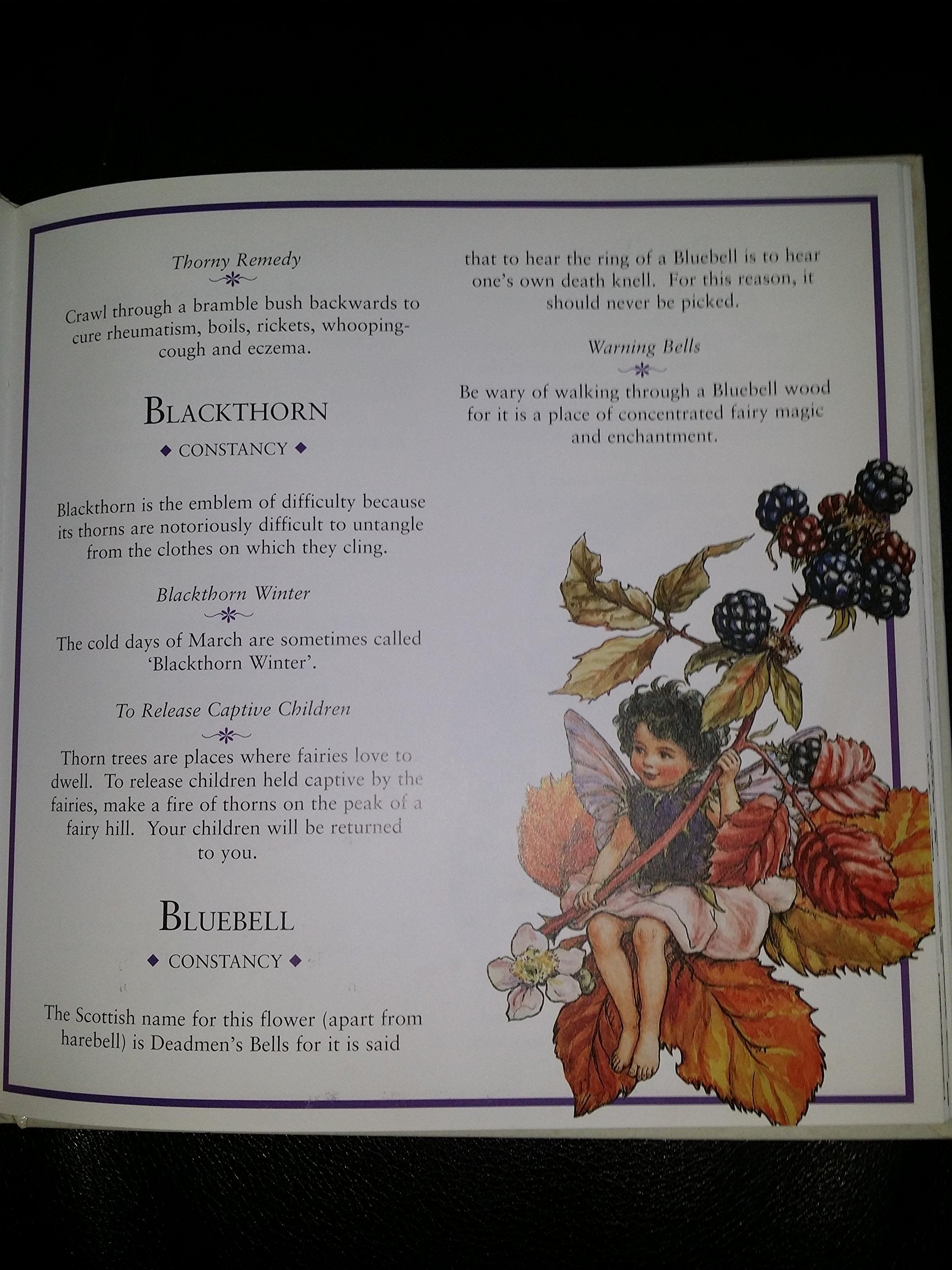 Flower Fairies: The Meaning of Flowers used book depot