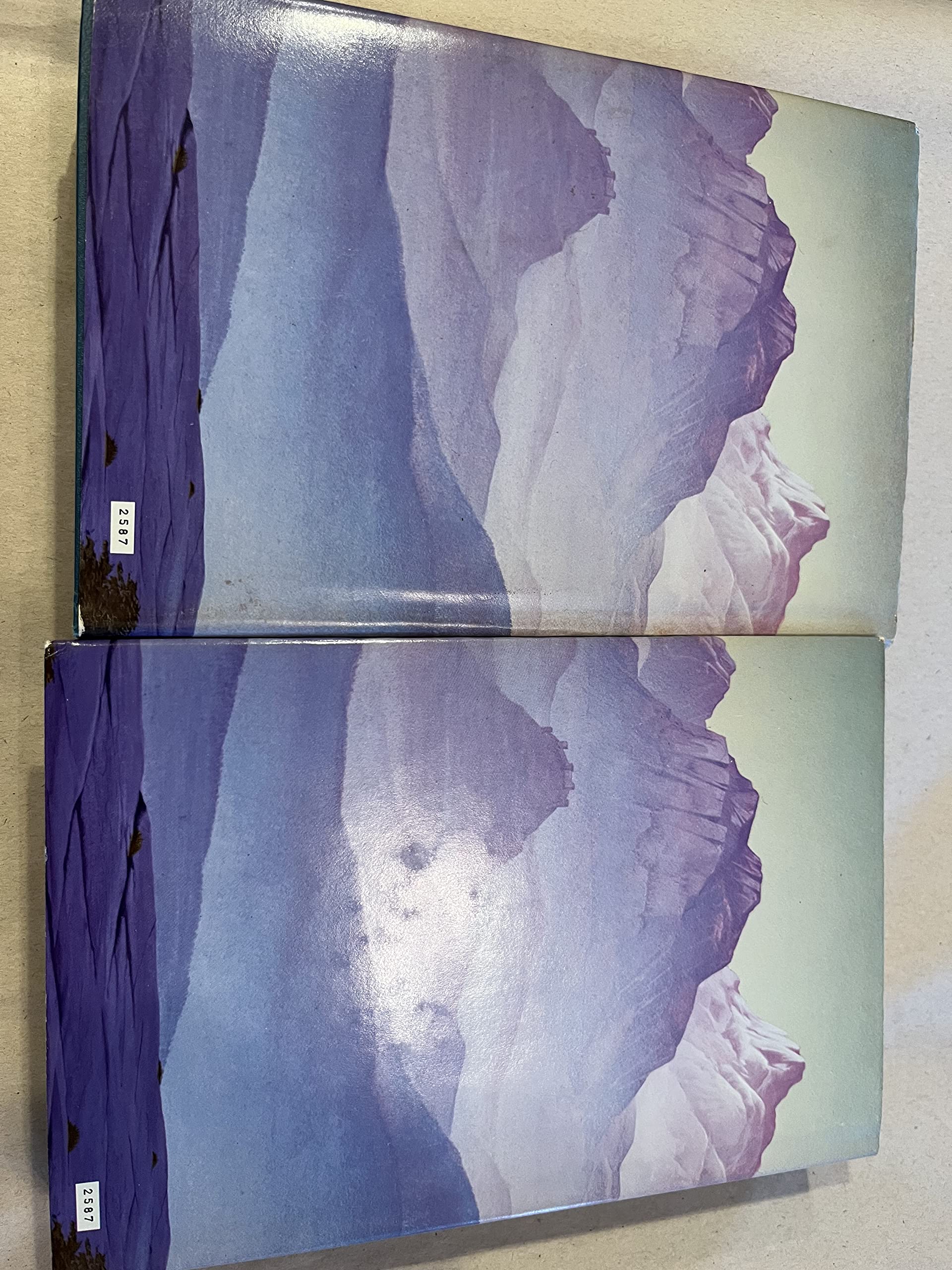 The Far Pavilions Volumes 1 and 2 used book depot