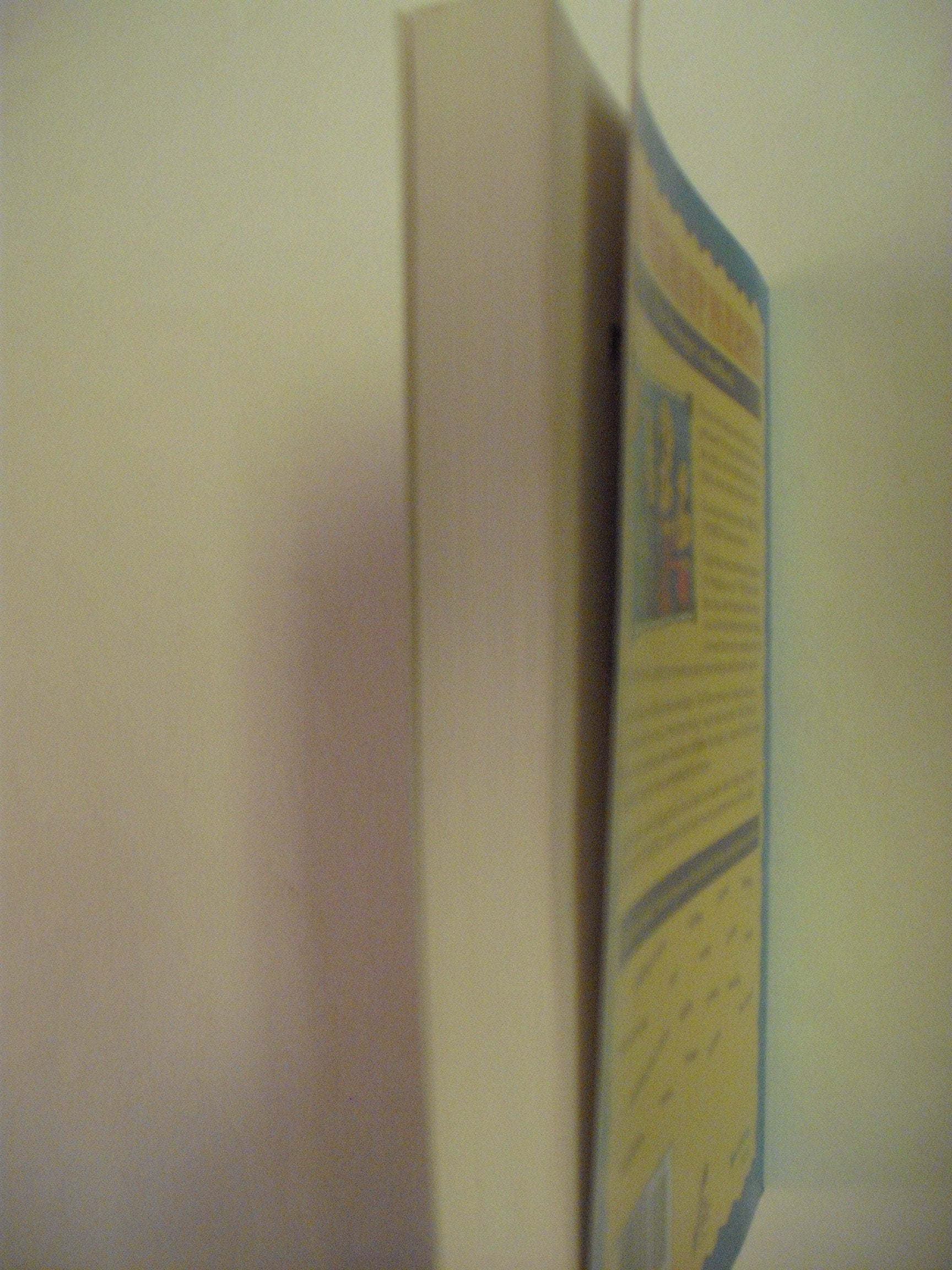 Bringing Up Parents: The Teenager's Handbook used book depot