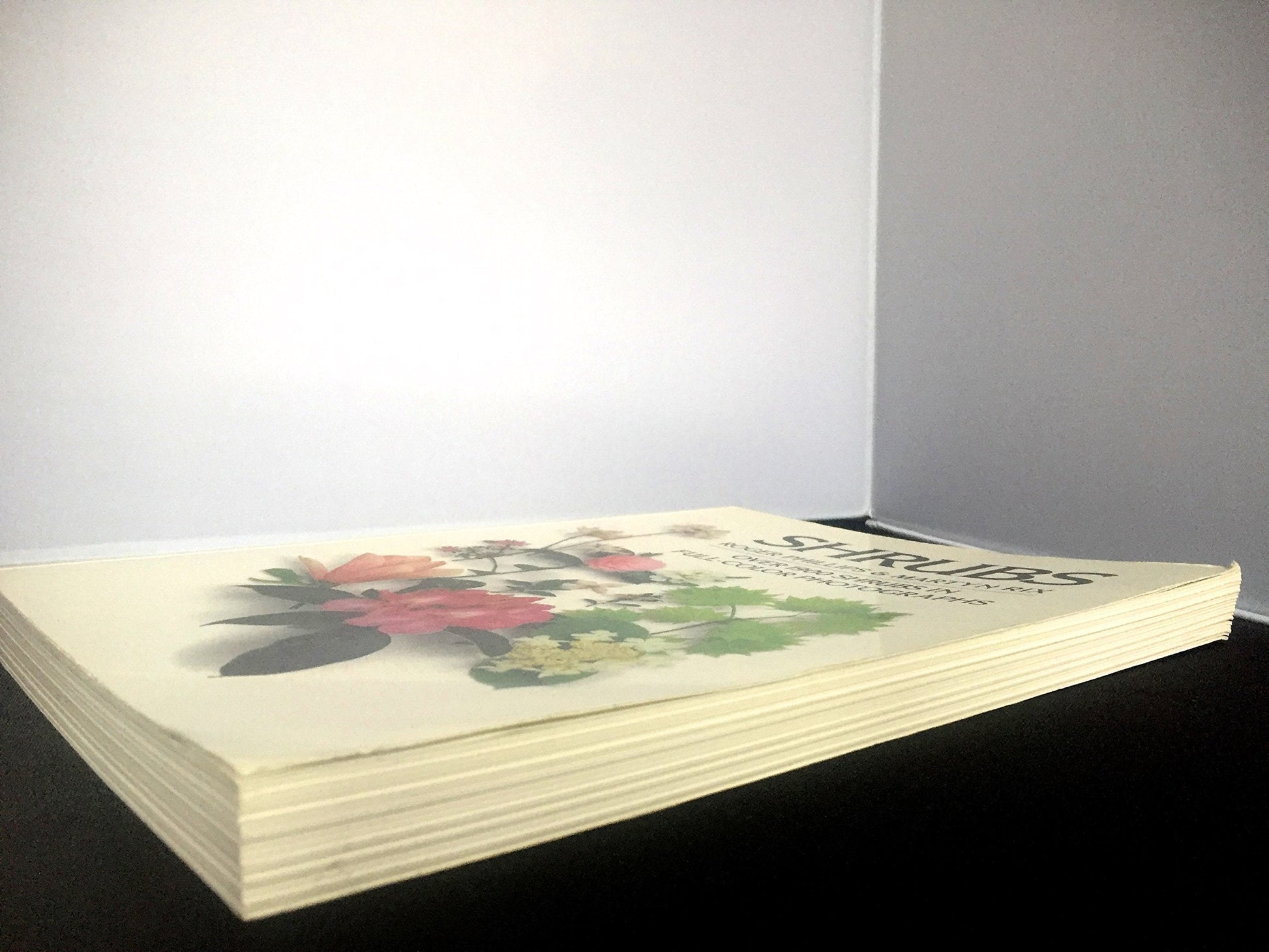The Random House Book of Shrubs used book depot