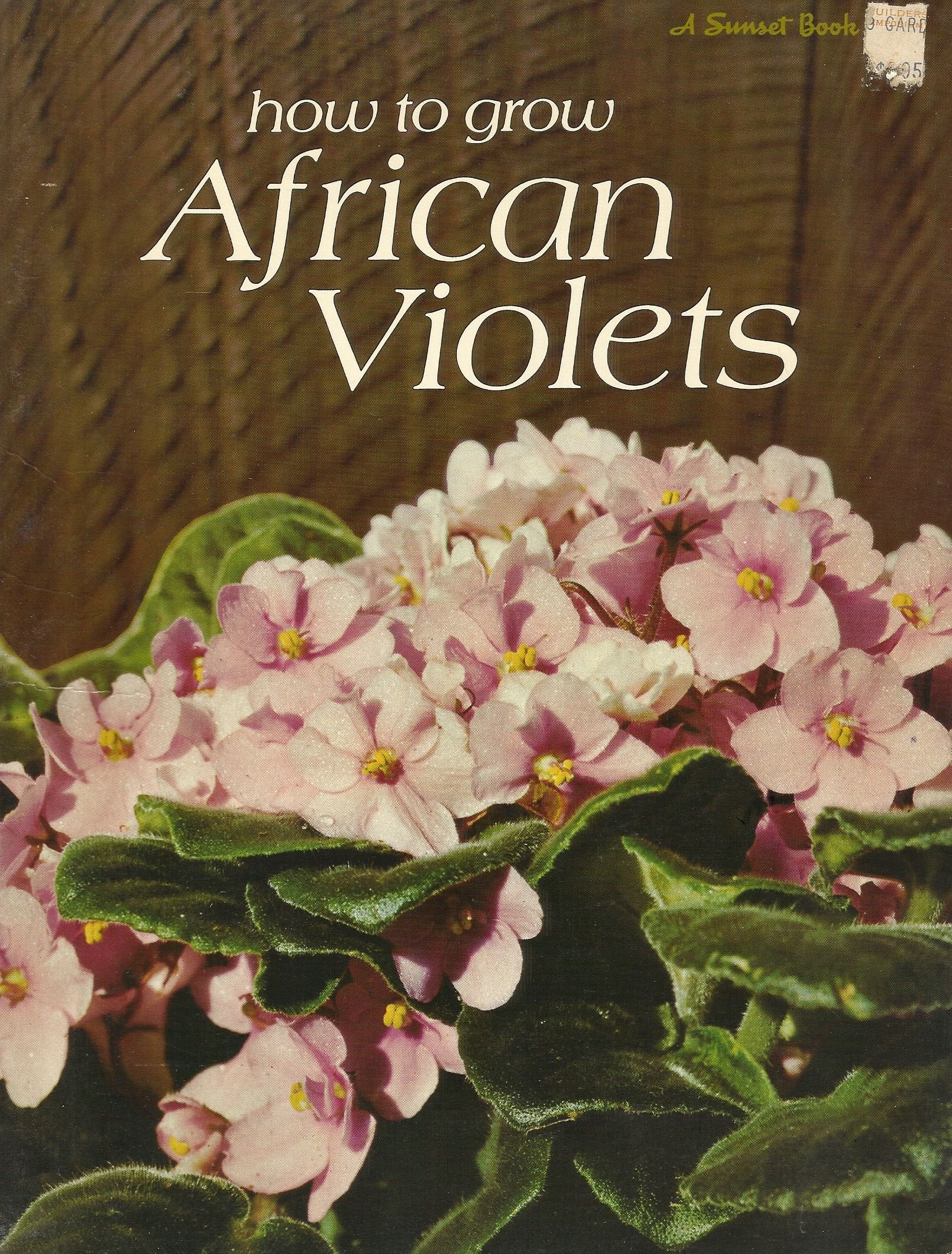 HOW TO GROW AFRICAN VIOLETS A SUNSET BOOK FIRST PRINTING 1971
