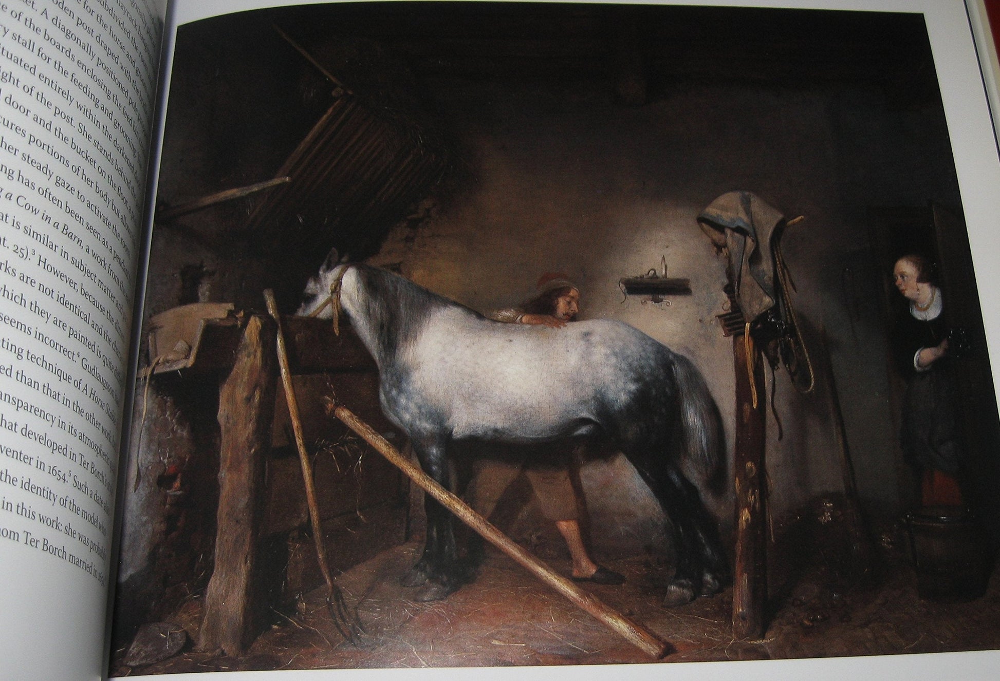 Gerard Ter Borch used book depot