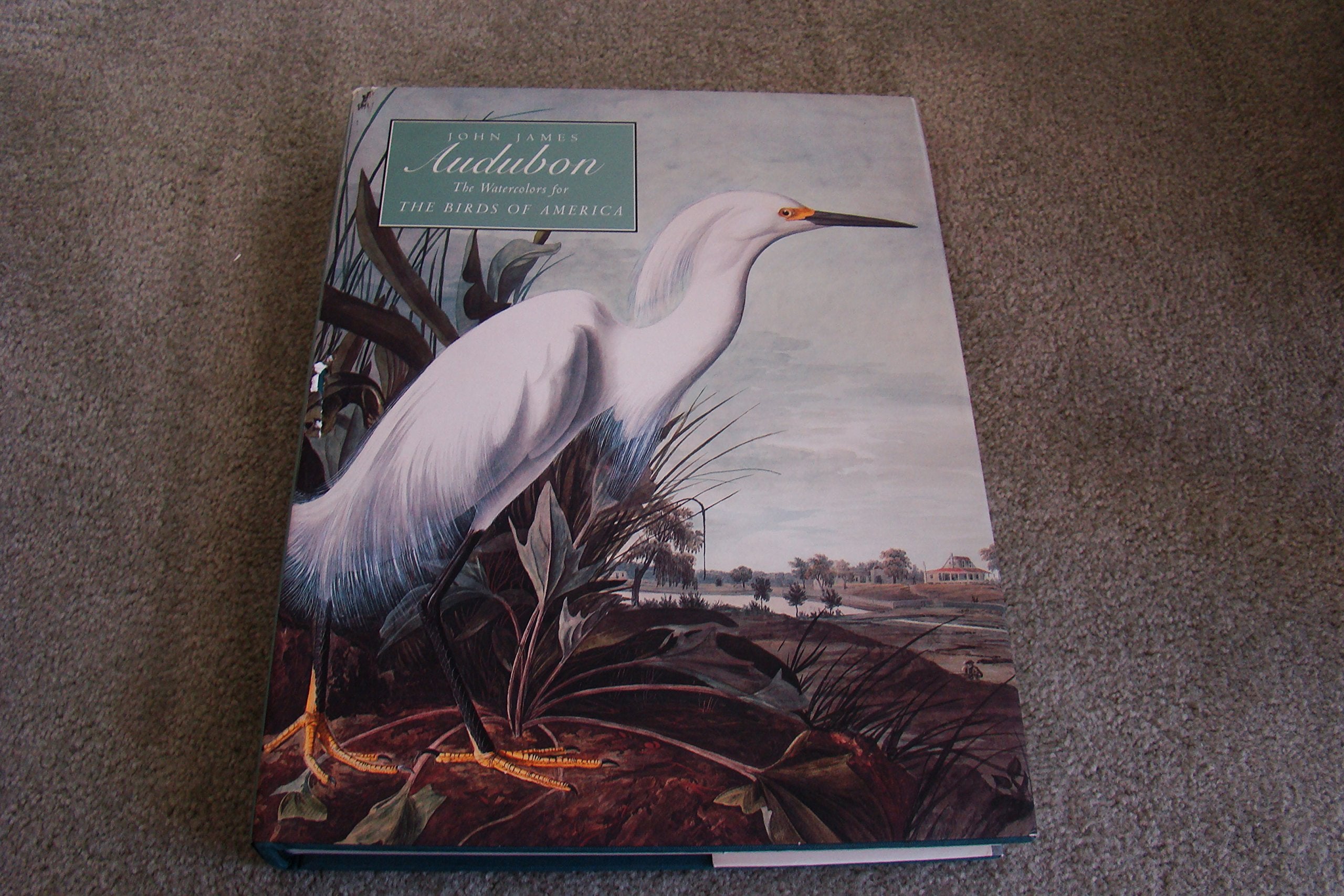 John James Audubon: The Watercolors for the Birds of America used book depot