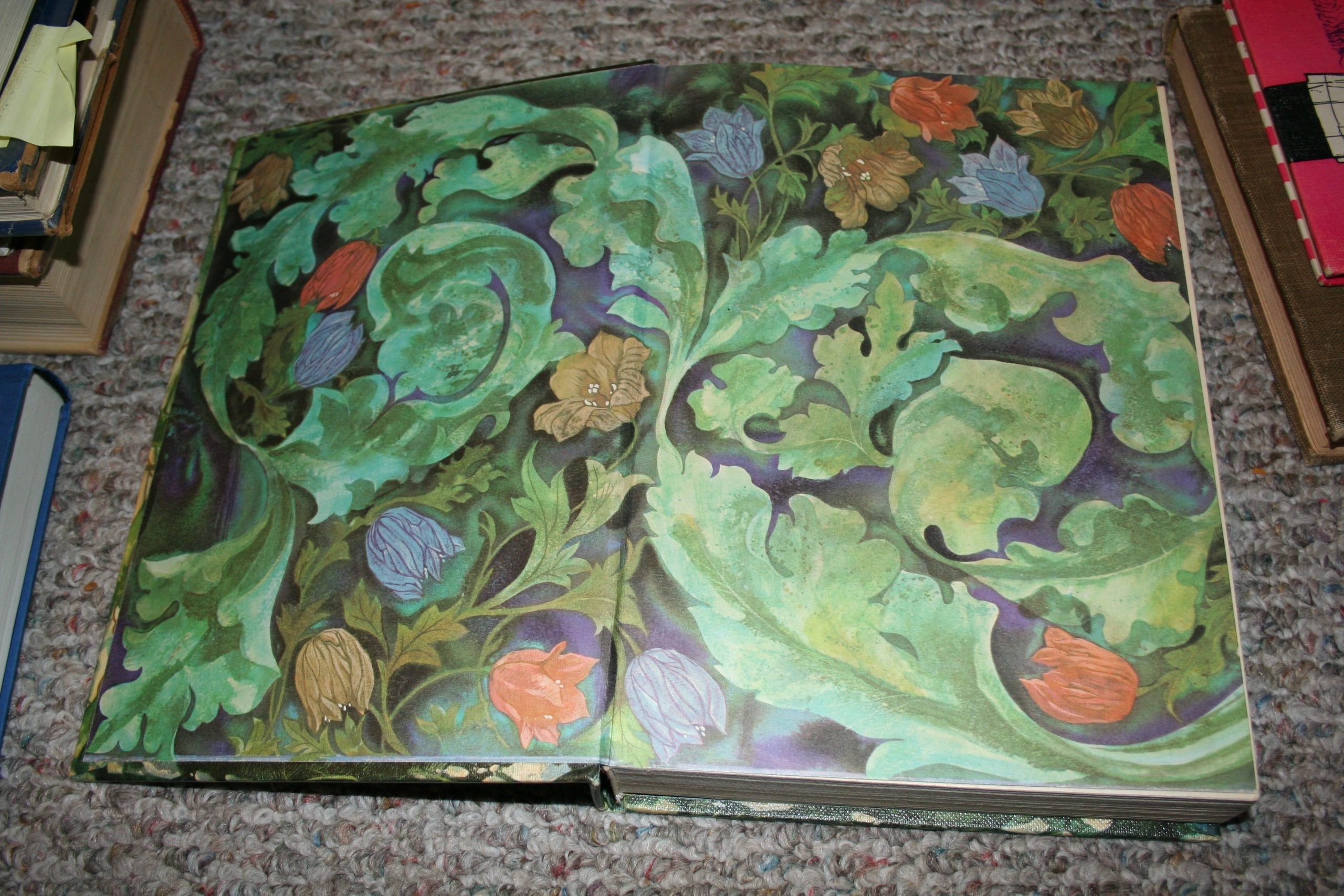 The Giant All-Color Book of Fairy Tales used book depot
