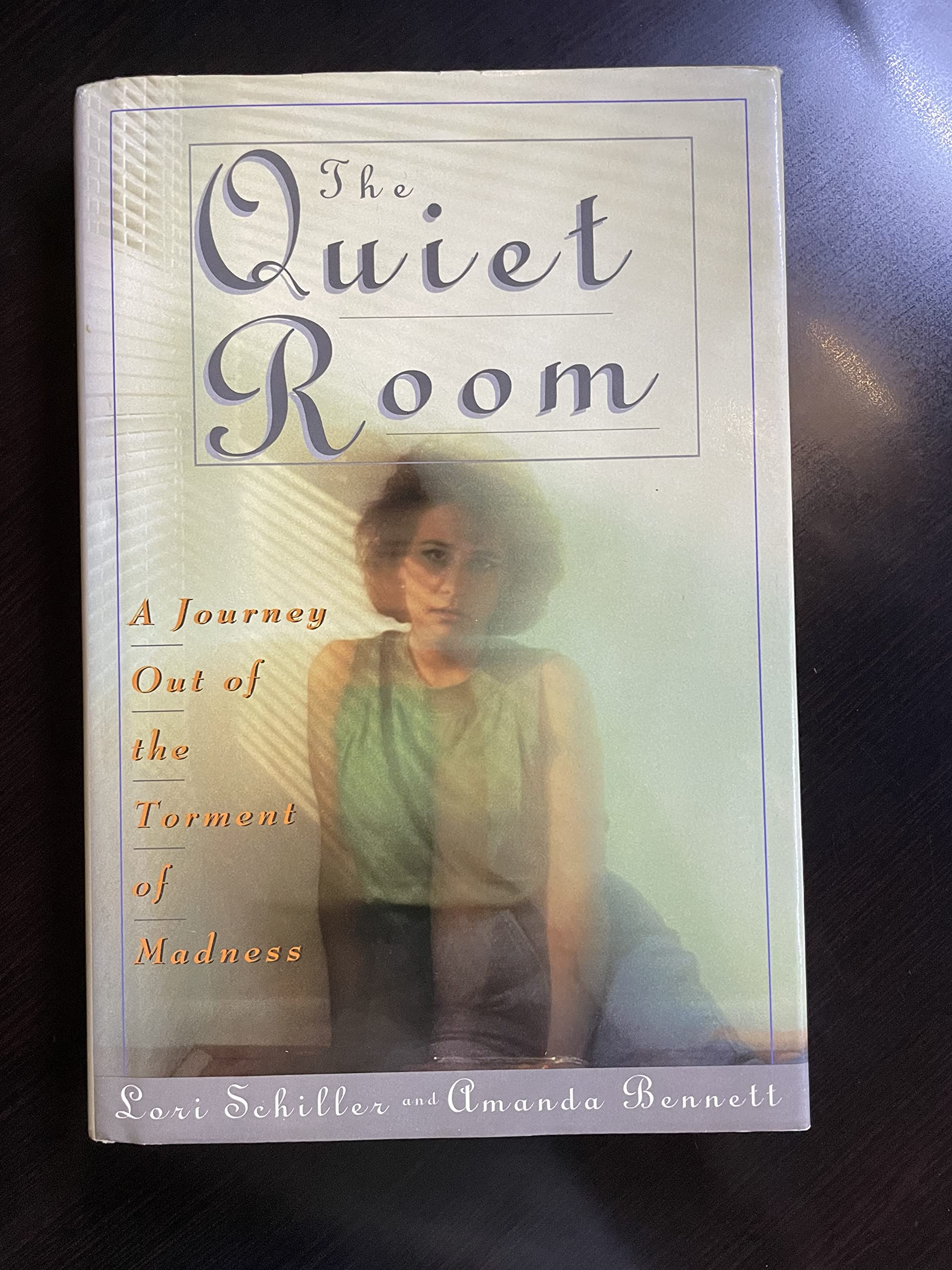 The Quiet Room: A Journey Out of the Torment of Madness used book depot
