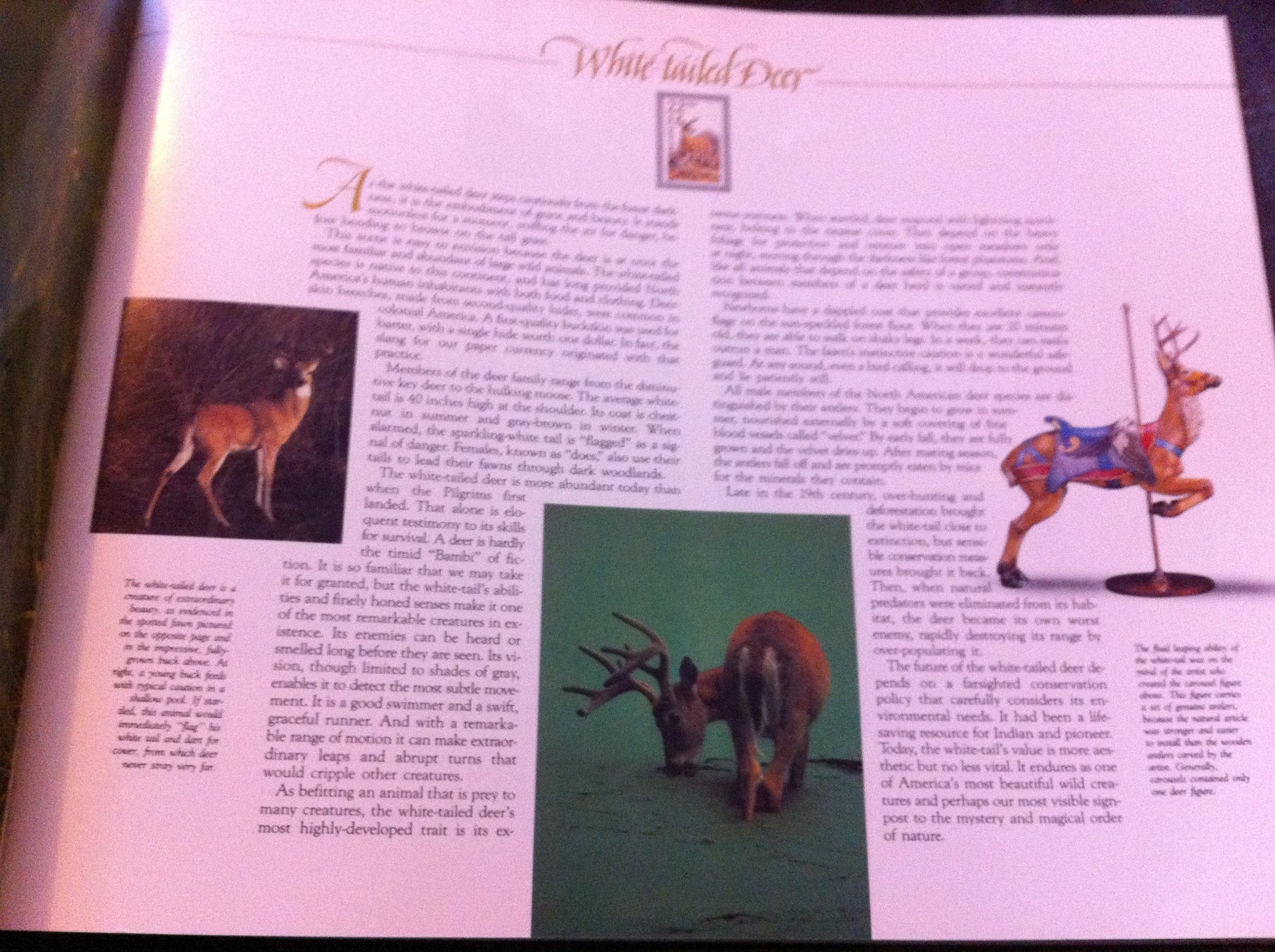 Wildlife America: A Collection of U.S. Commemorative Stamps used book depot