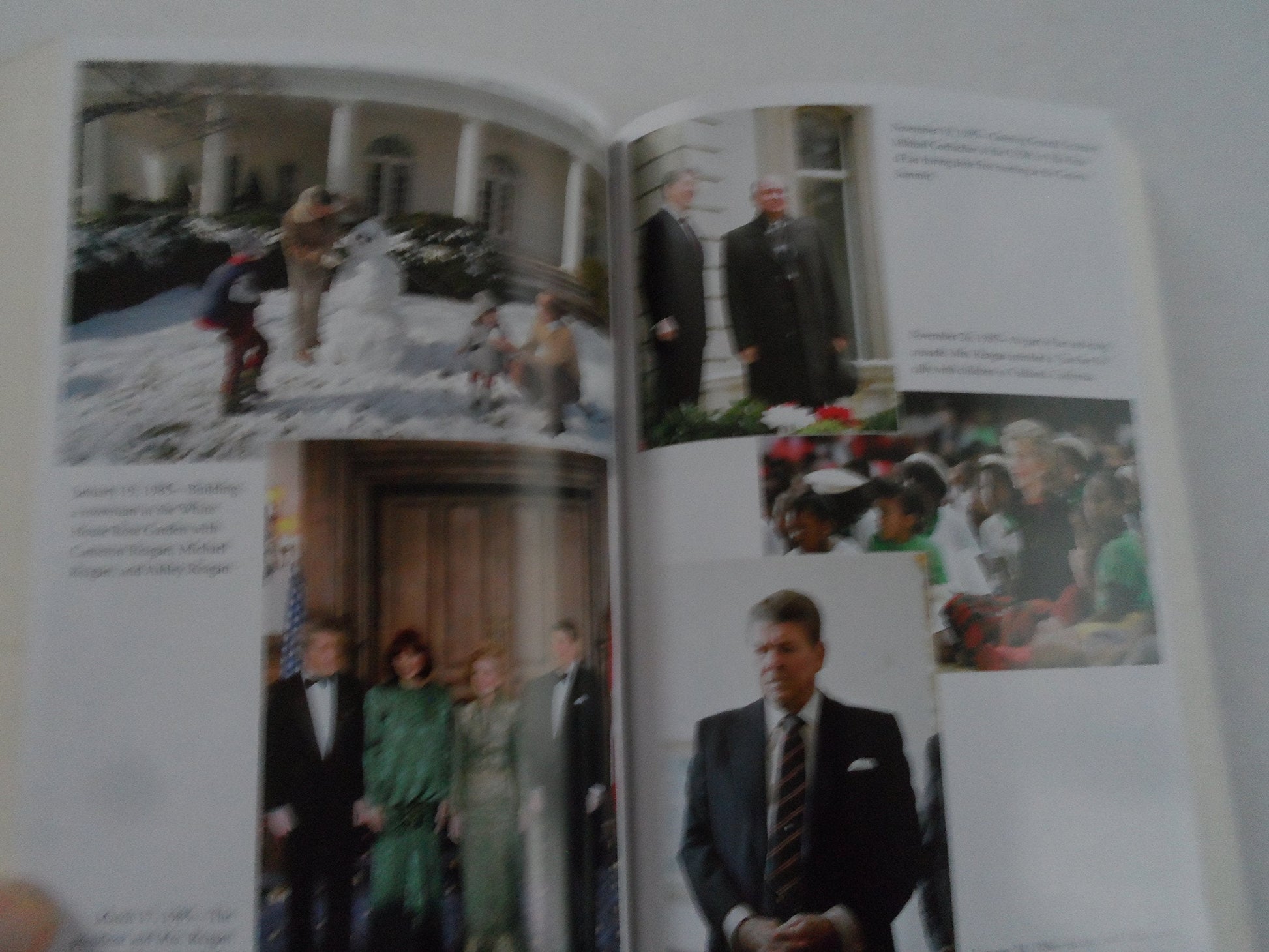The Reagan Diaries used book depot
