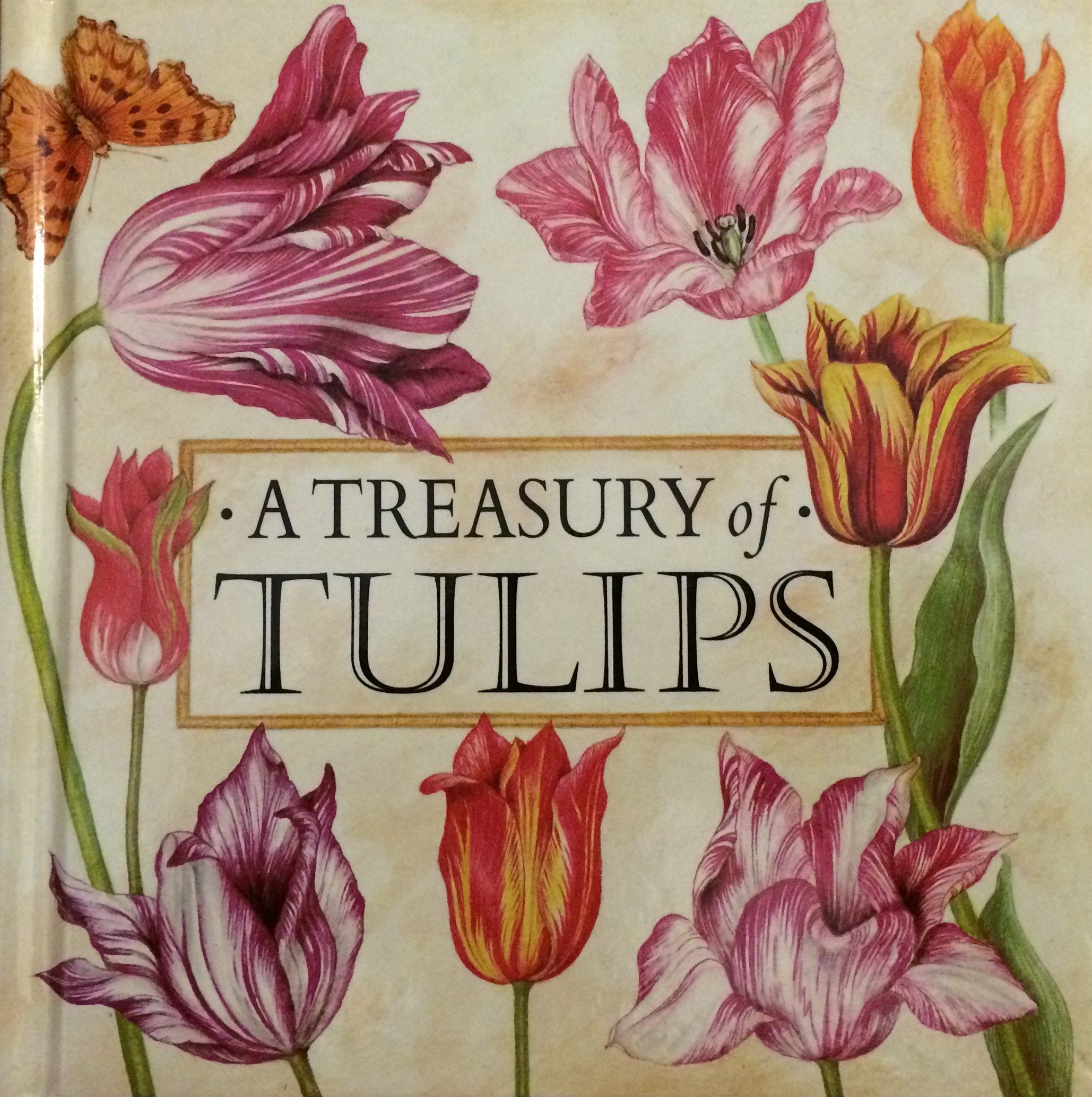 A Treasury of Tulips
