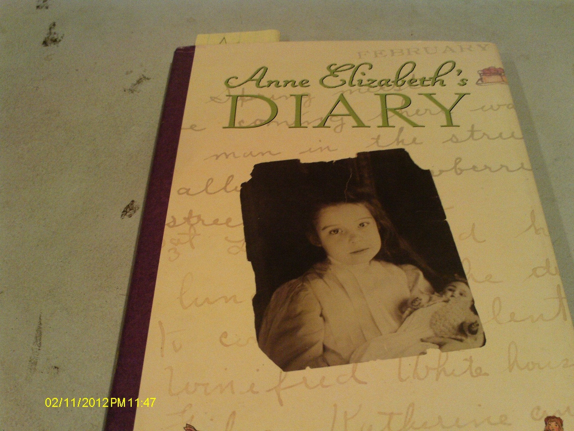 Anne Elizabeth's Diary: A Young Artist's True Story used book depot