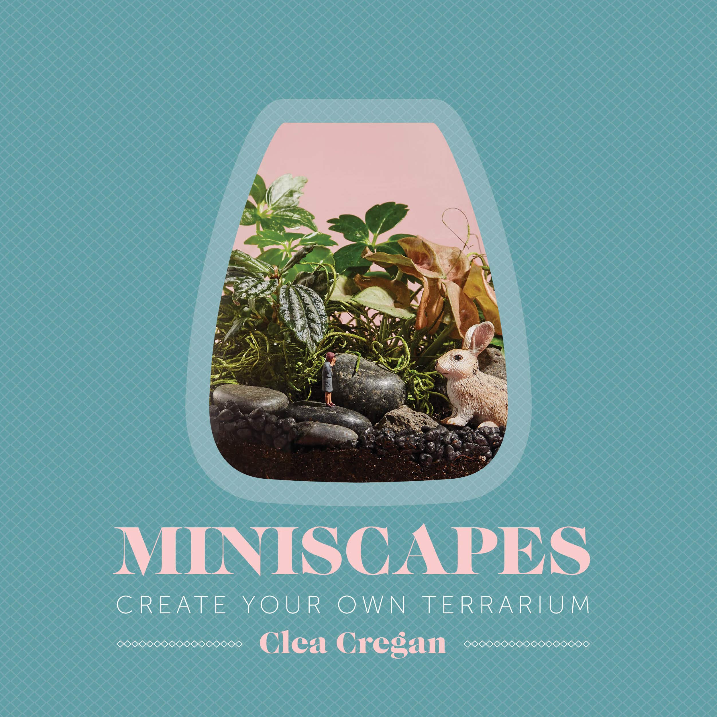 Miniscapes: Create Your Own Terrarium used book depot