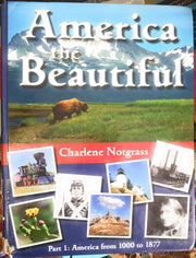 AMERICA THE BEAUTIFUL Part 1: America from 1000 to 1877 used book depot