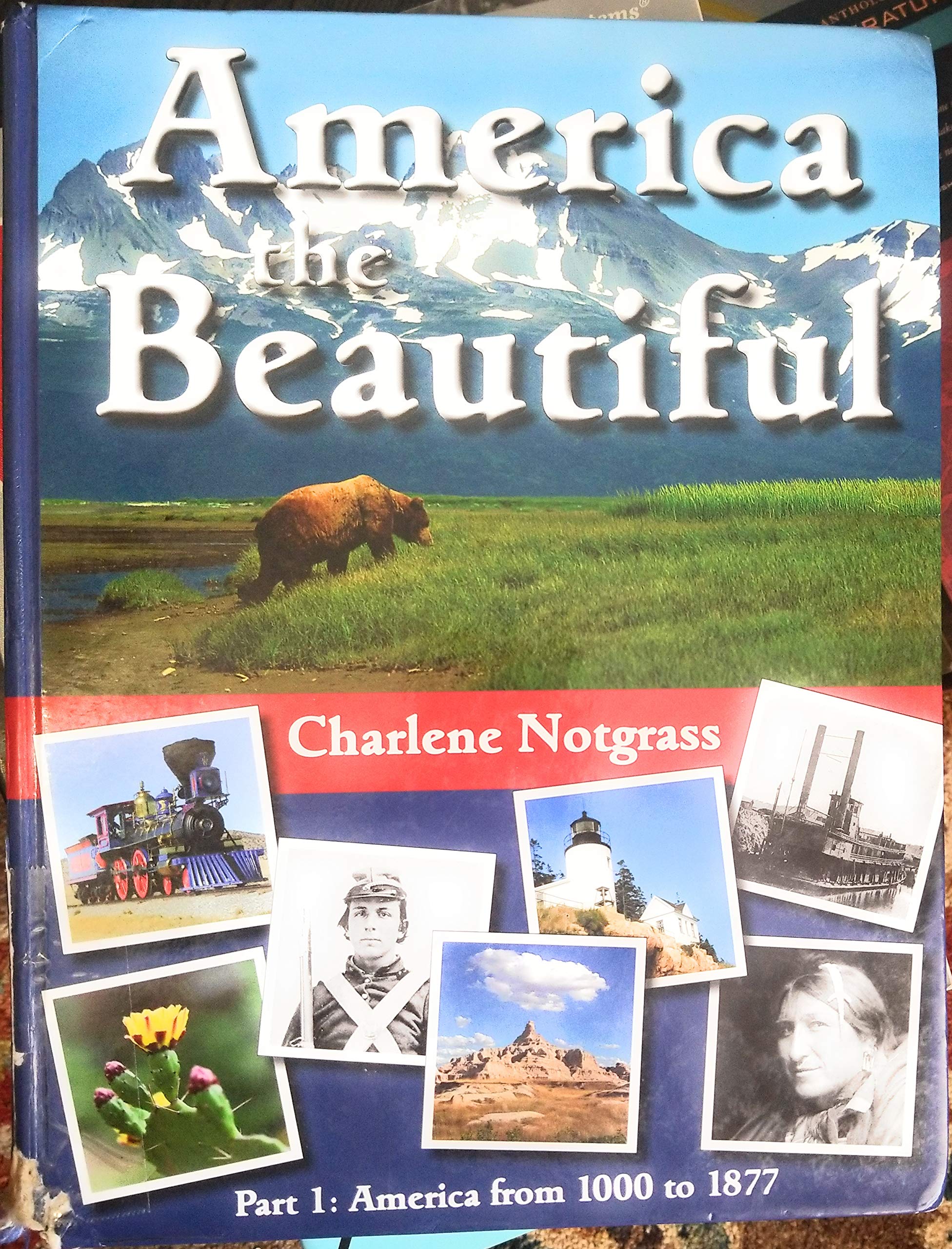AMERICA THE BEAUTIFUL Part 1: America from 1000 to 1877 used book depot