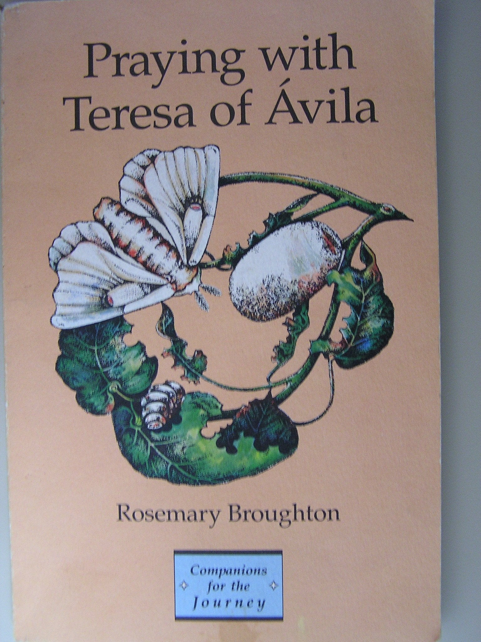 Praying With Teresa of Avila used book depot