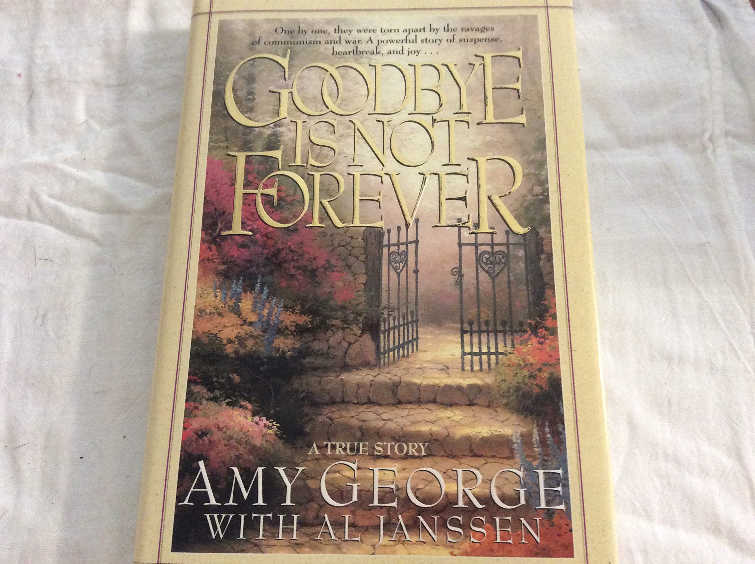 Goodbye Is Not Forever used book depot