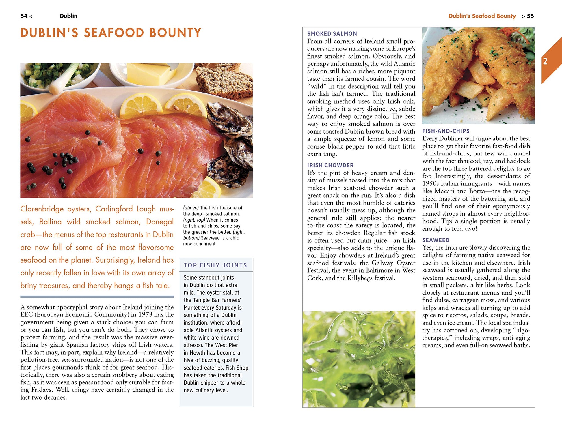 Fodor's Essential Ireland 2019 (Full-color Travel Guide) used book depot