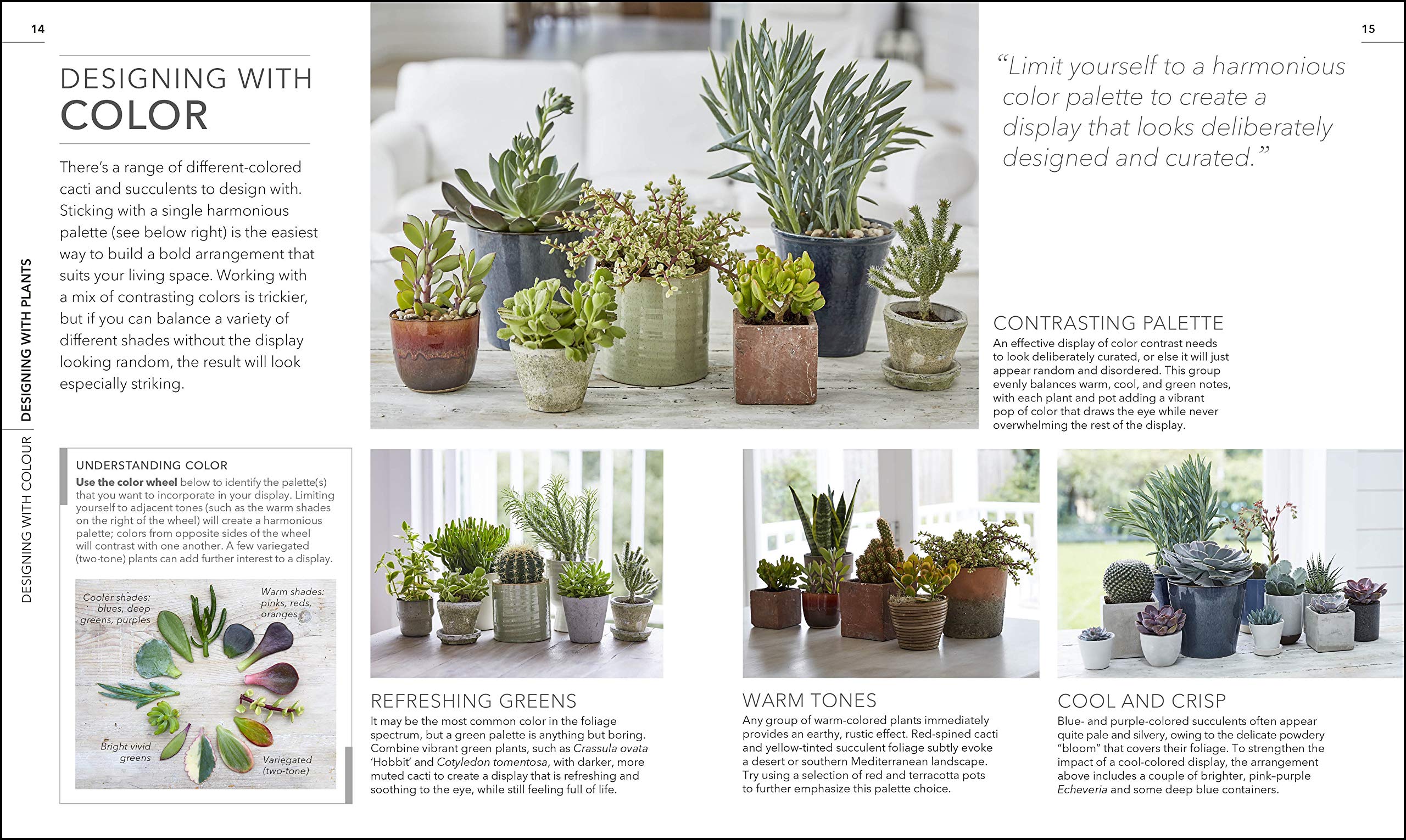 Practical Cactus and Succulent Book: The Definitive Guide to Choosing, Displaying, and Caring for more than 200 Cacti used book depot