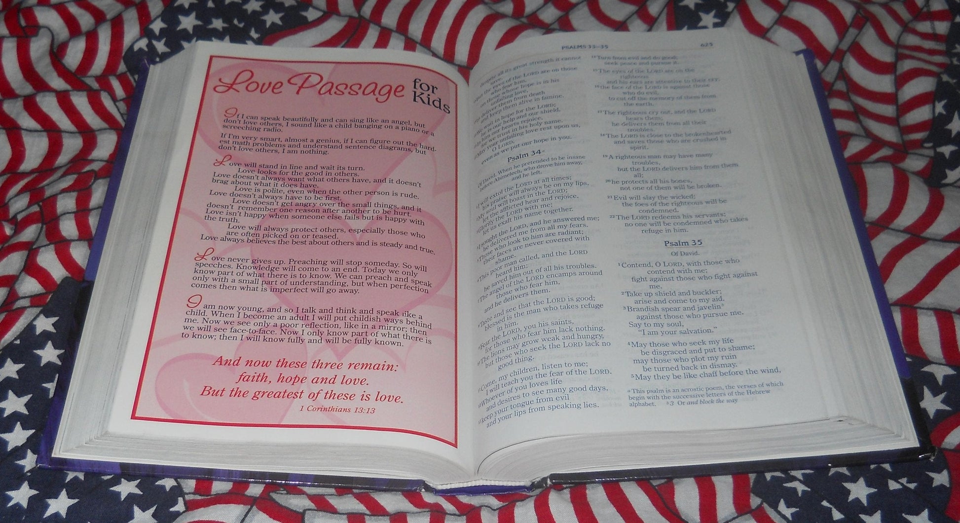 Adventure Bible, Revised, NIV used book depot