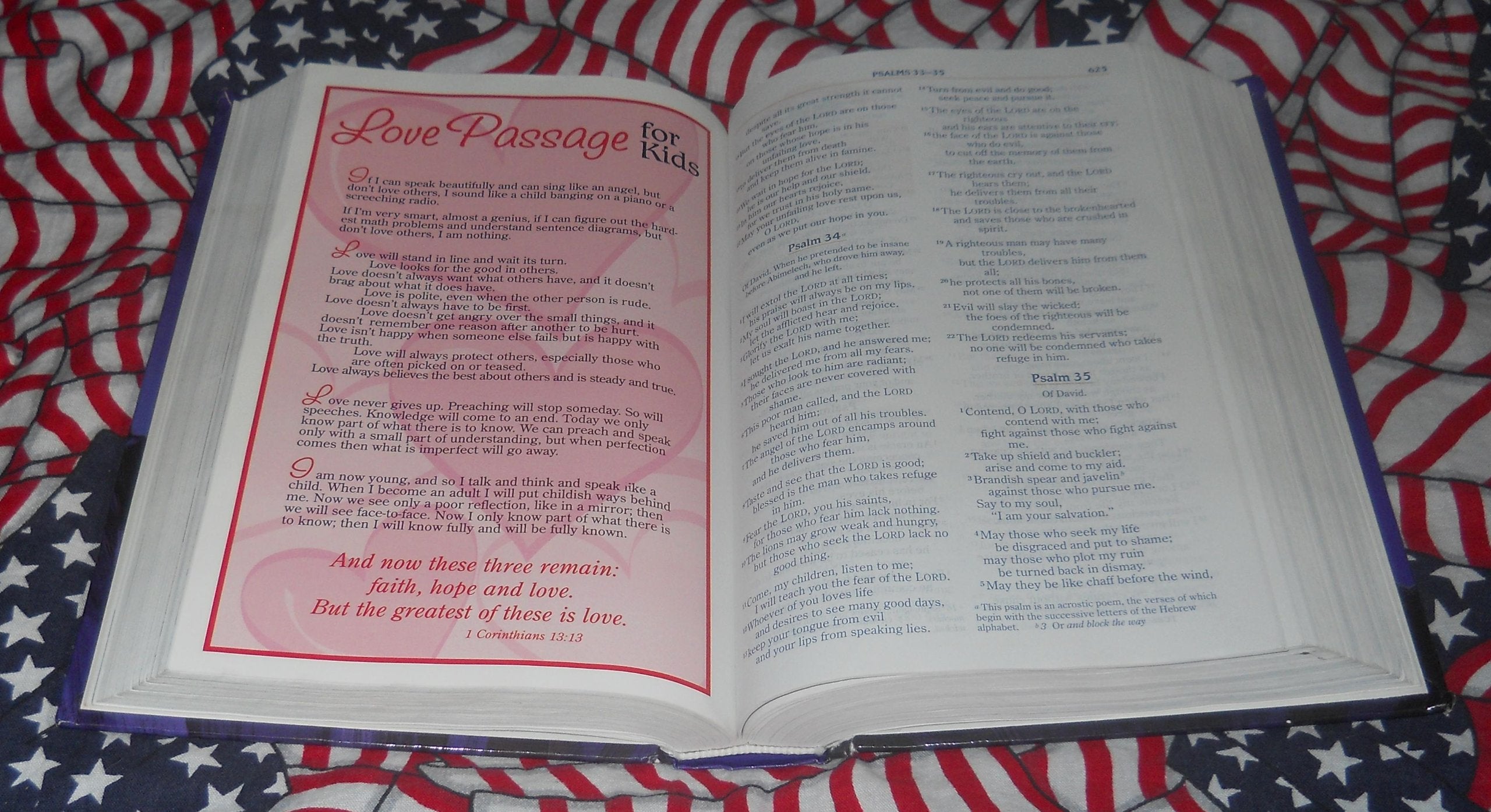 Adventure Bible, Revised, NIV used book depot