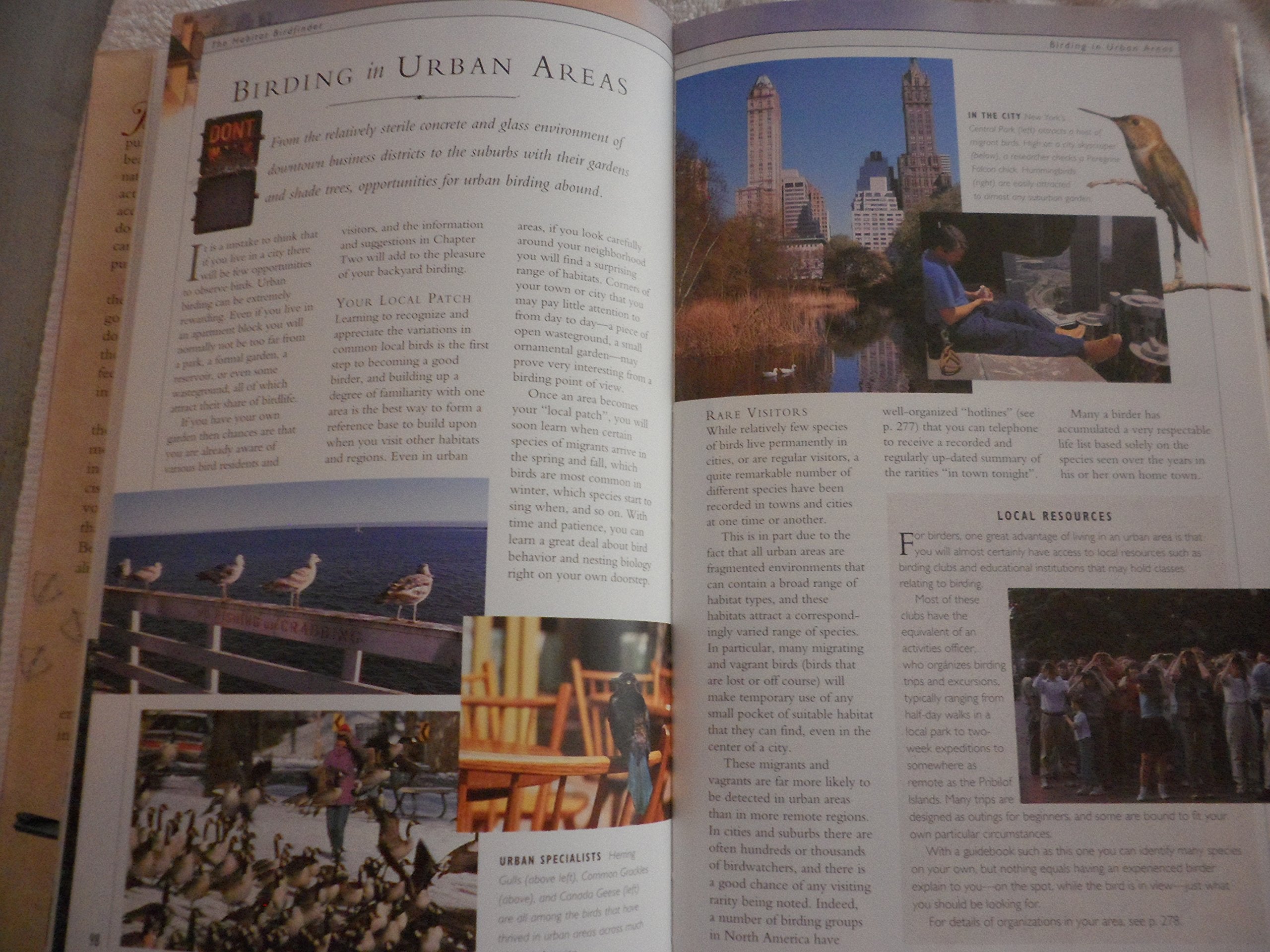 Birding (Nature Company Guides) used book depot