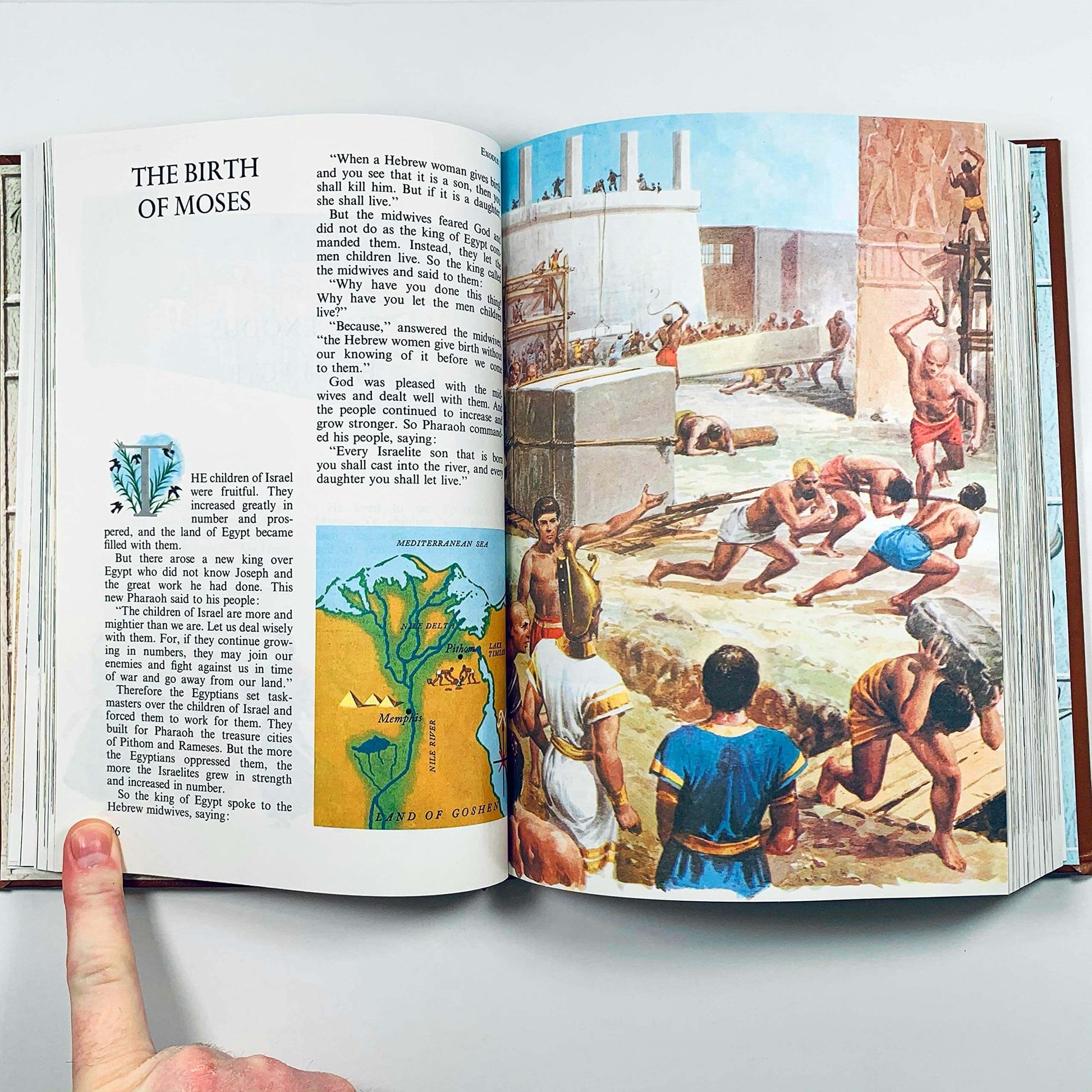 The Children's Bible Deluxe Edition used book depot