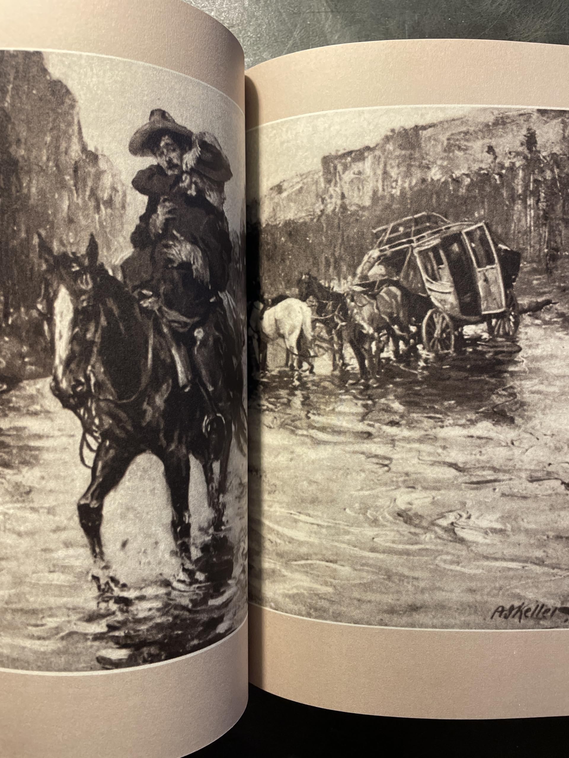 The Virginian: A Horseman of the Plains (The World's Best Reading) used book depot