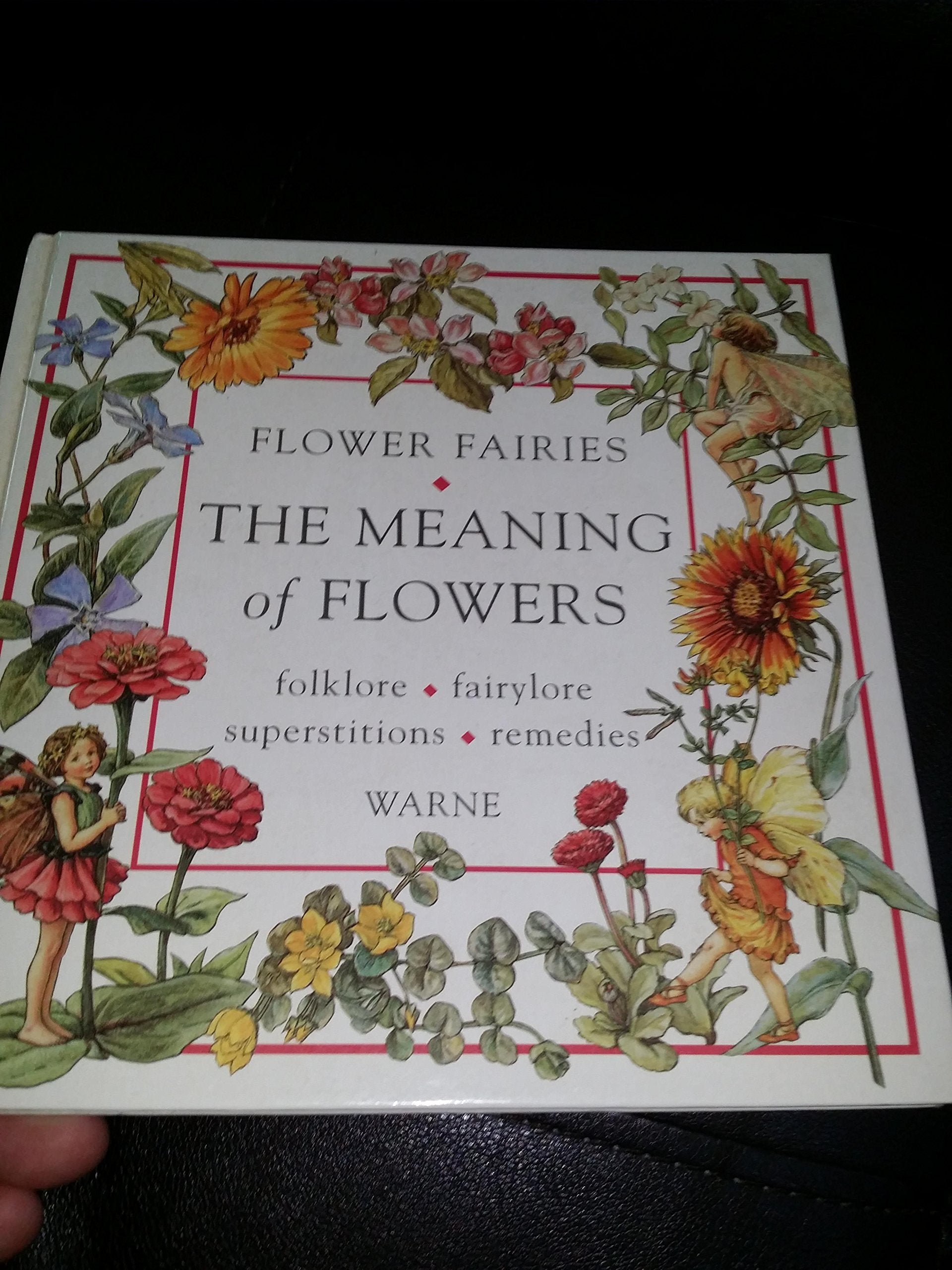 Flower Fairies: The Meaning of Flowers used book depot