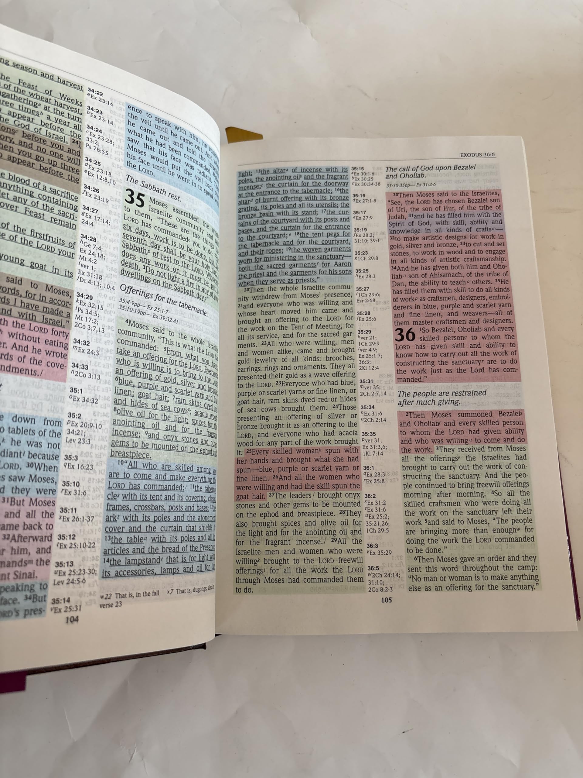 New International Version Rainbow Study Bible/Burgundy