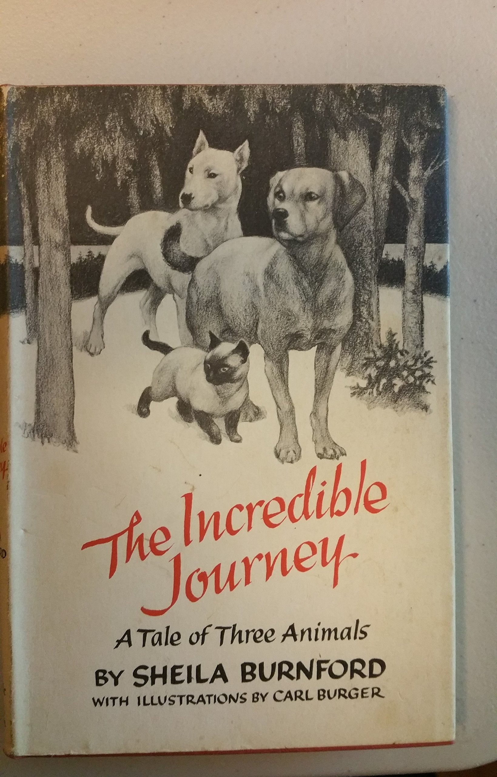 The Incredible Journey A Tale Of Three Animals used book depot
