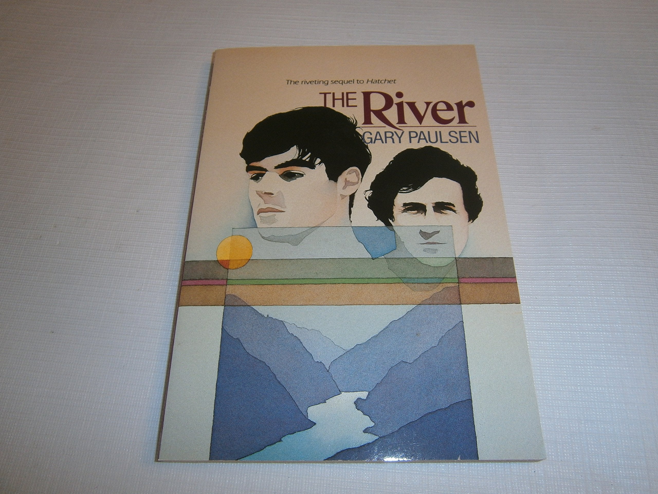 The River used book depot