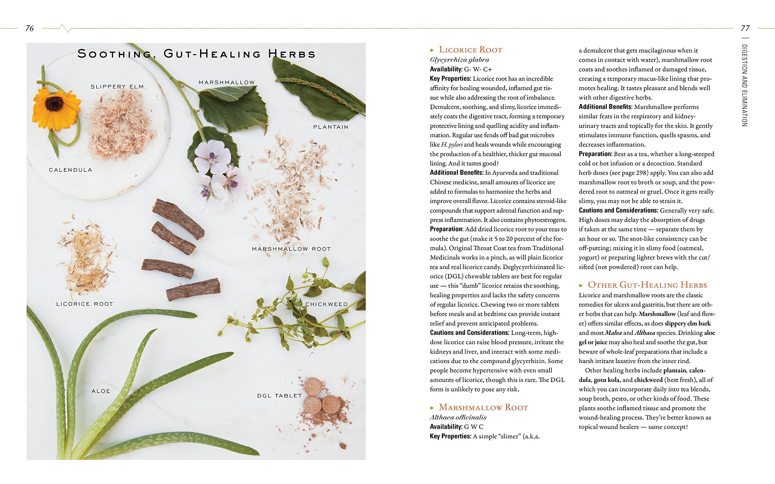 Body into Balance: An Herbal Guide to Holistic Self-Care used book depot