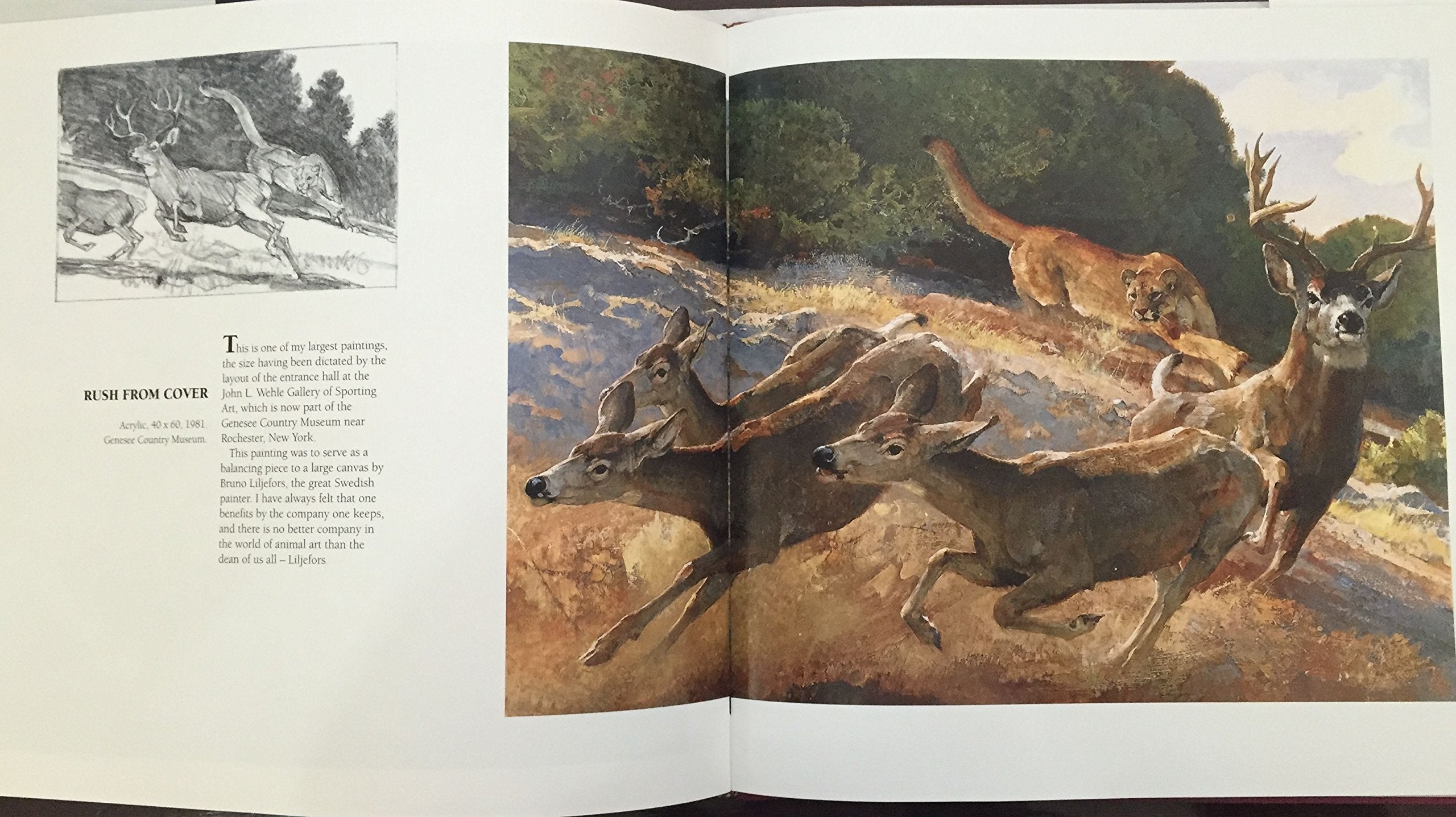 Wild Harvest: The Animal Art of Bob Kuhn used book depot