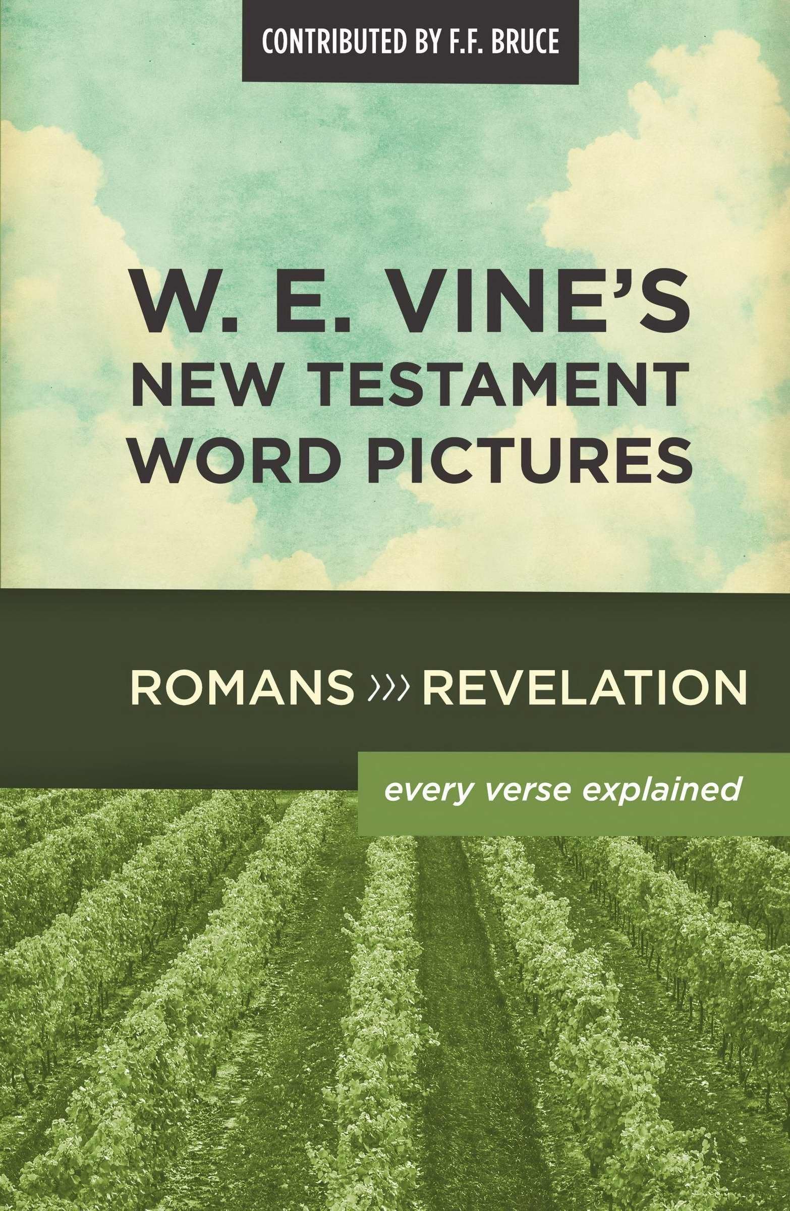 W. E. Vine's New Testament Word Pictures: Romans to Revelation used book depot