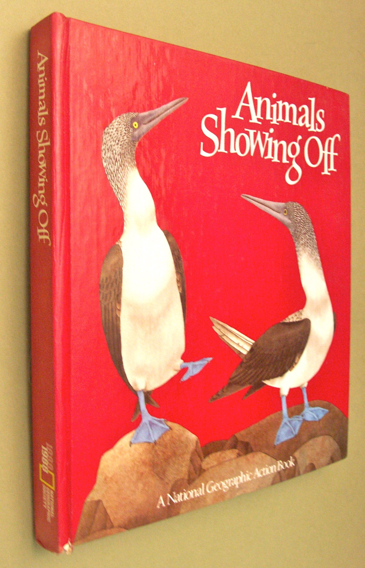Animals Showing Off (A Pop-Up Book) (National Geographic Action Book) used book depot