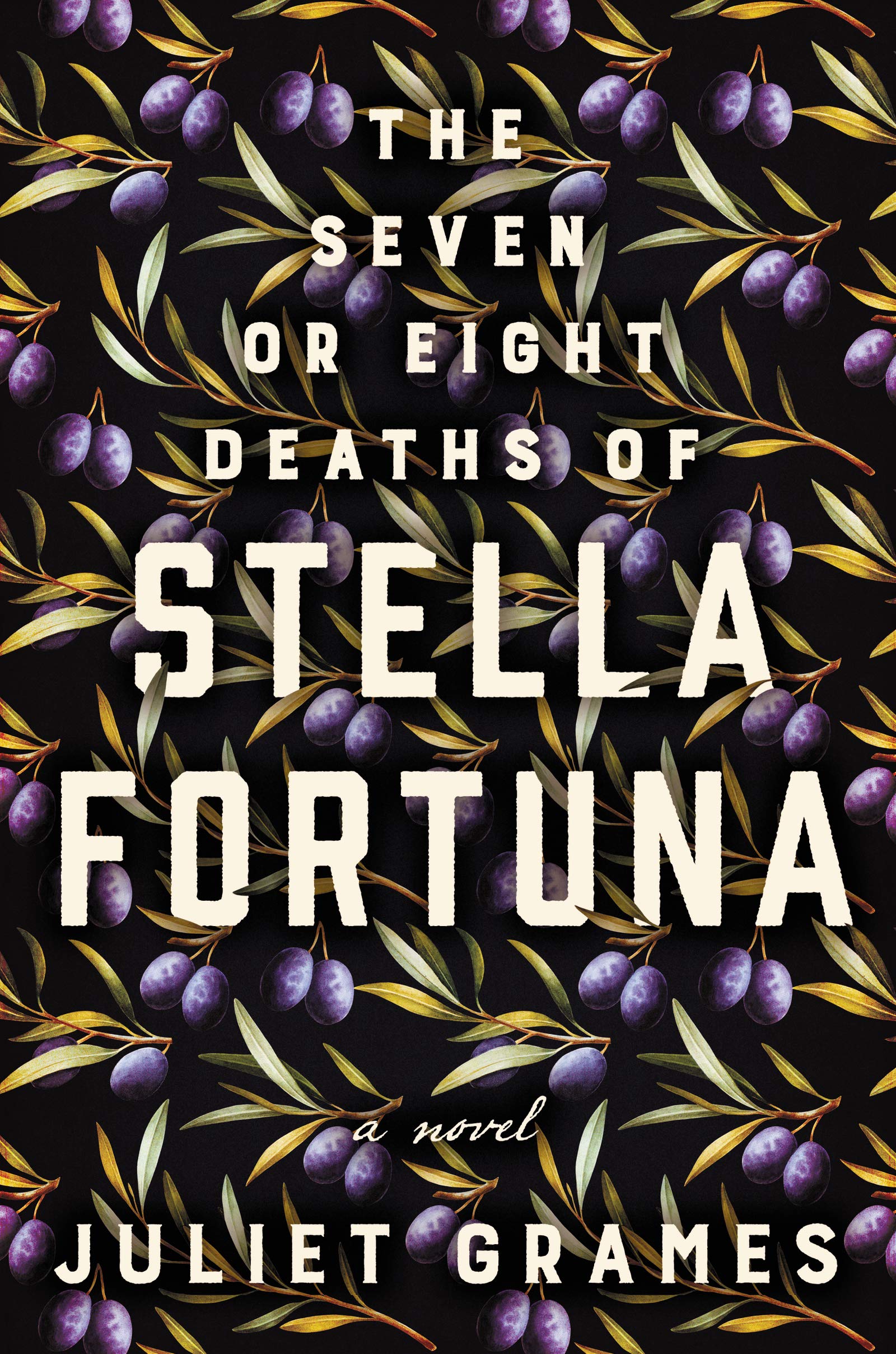 The Seven or Eight Deaths of Stella Fortuna: A Novel used book depot
