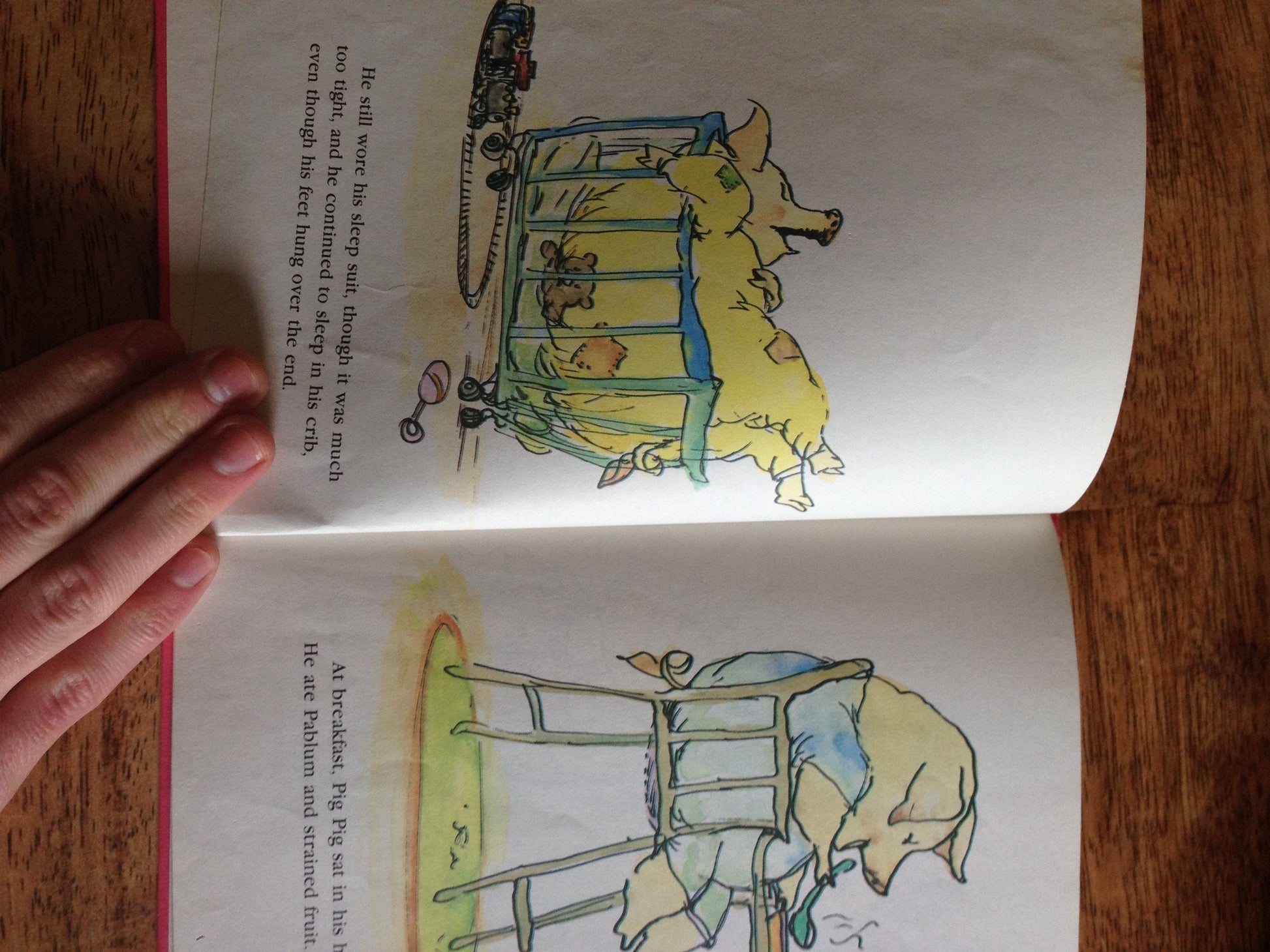 Pig Pig Grows Up used book depot