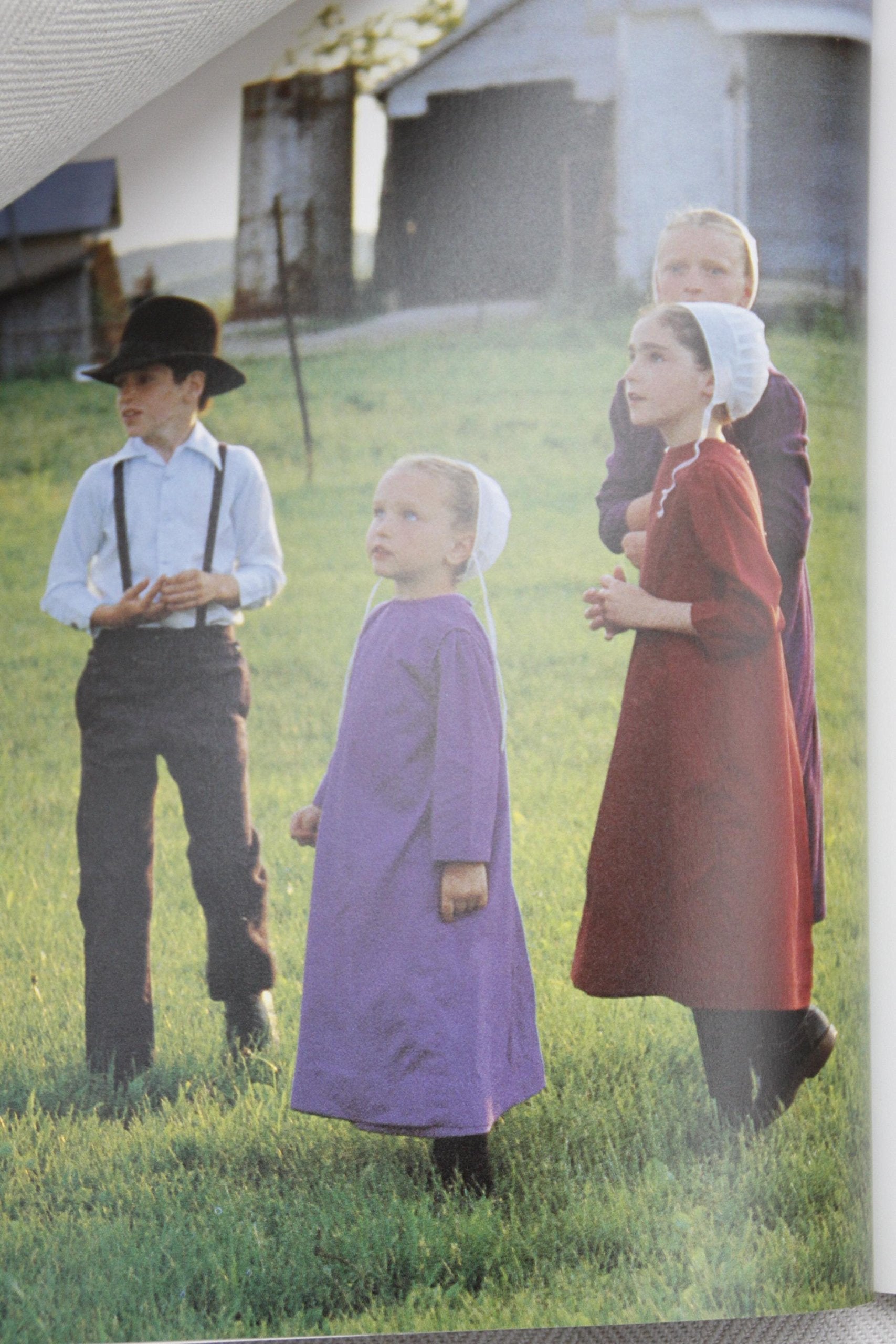 Quilts From the Indiana Amish: A Regional Collection used book depot