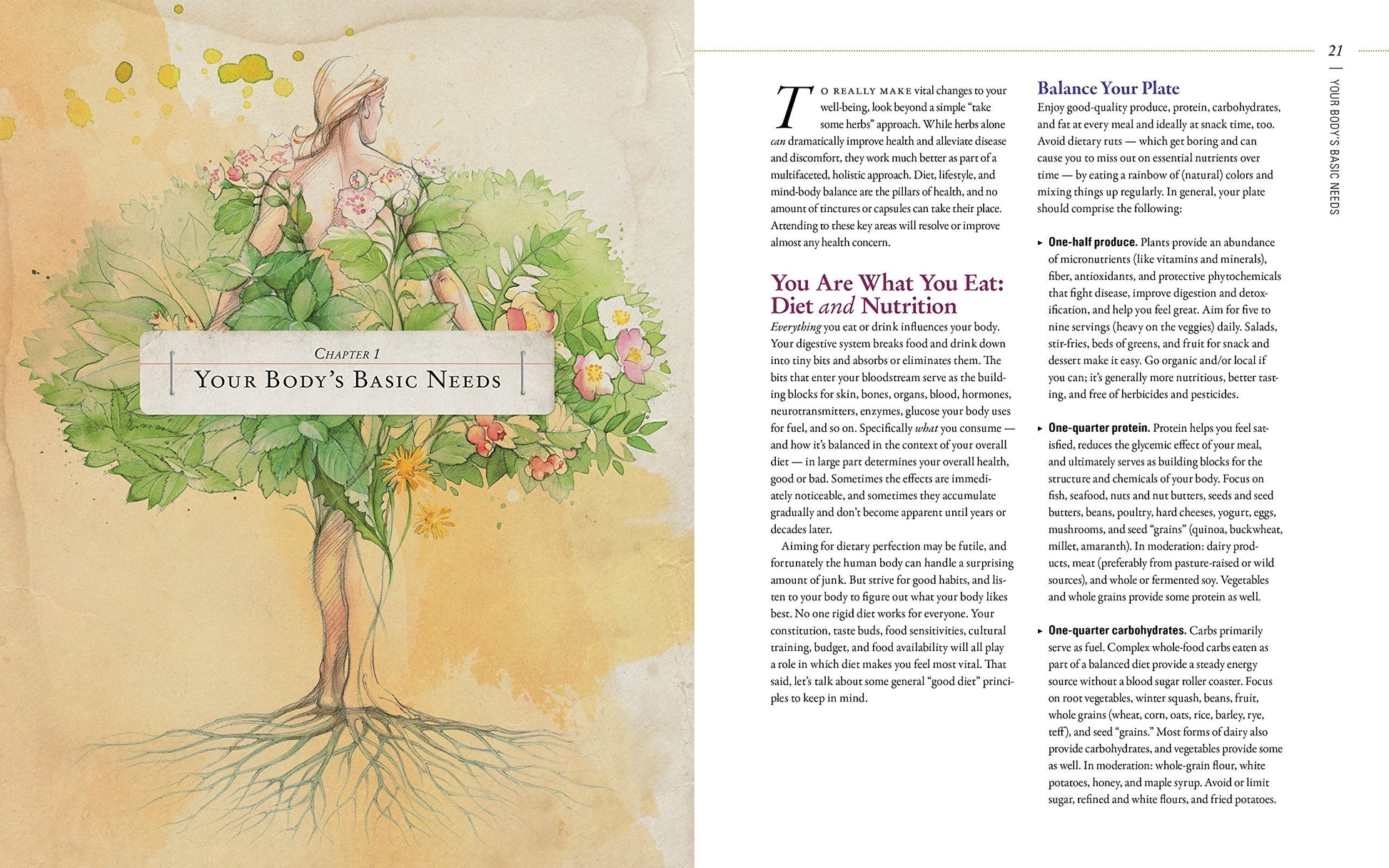 Body into Balance: An Herbal Guide to Holistic Self-Care used book depot