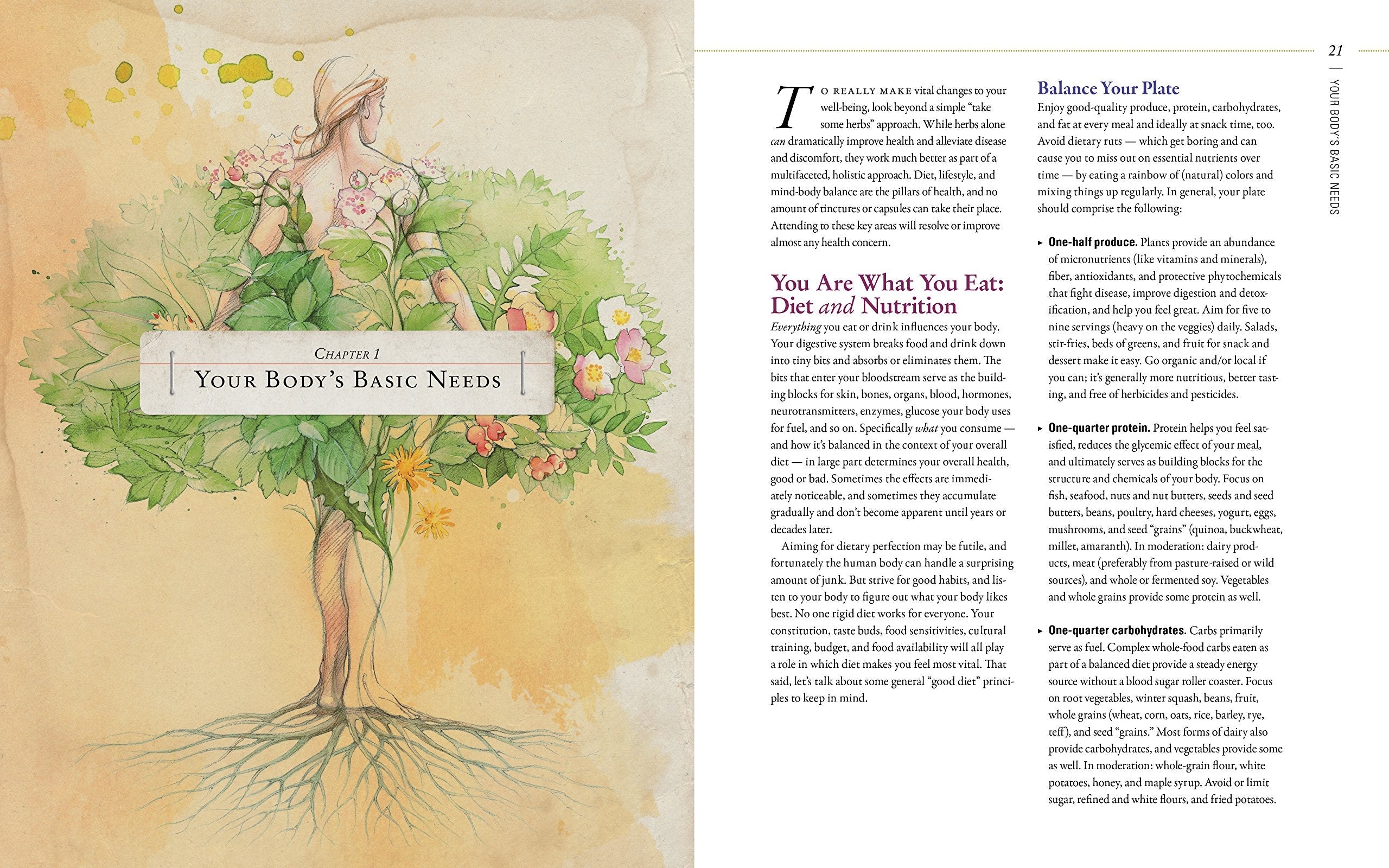 Body into Balance: An Herbal Guide to Holistic Self-Care used book depot