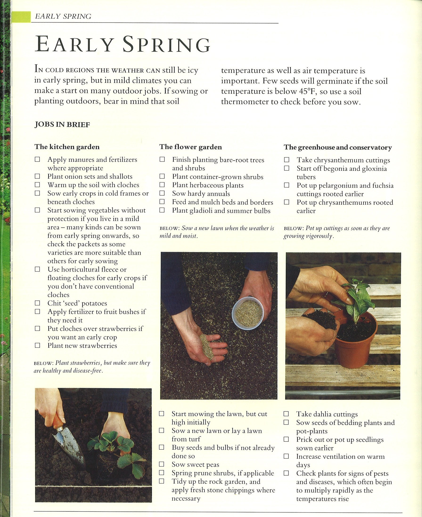 Gardening Through the Year: A Step-By-Step Guide to Seasonal Gardening Tasks