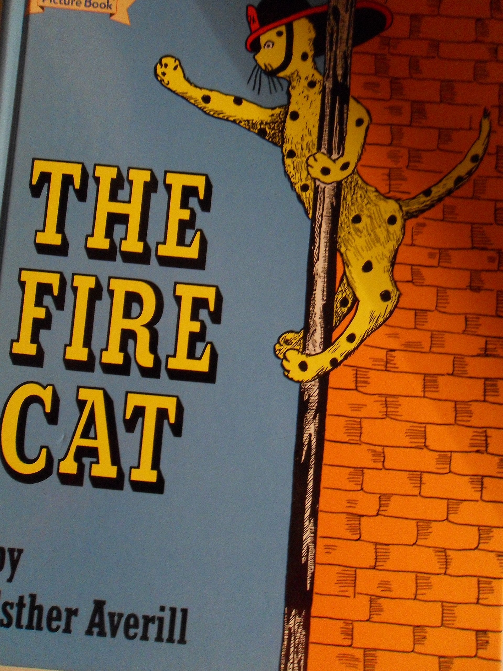 Fire Cat used book depot
